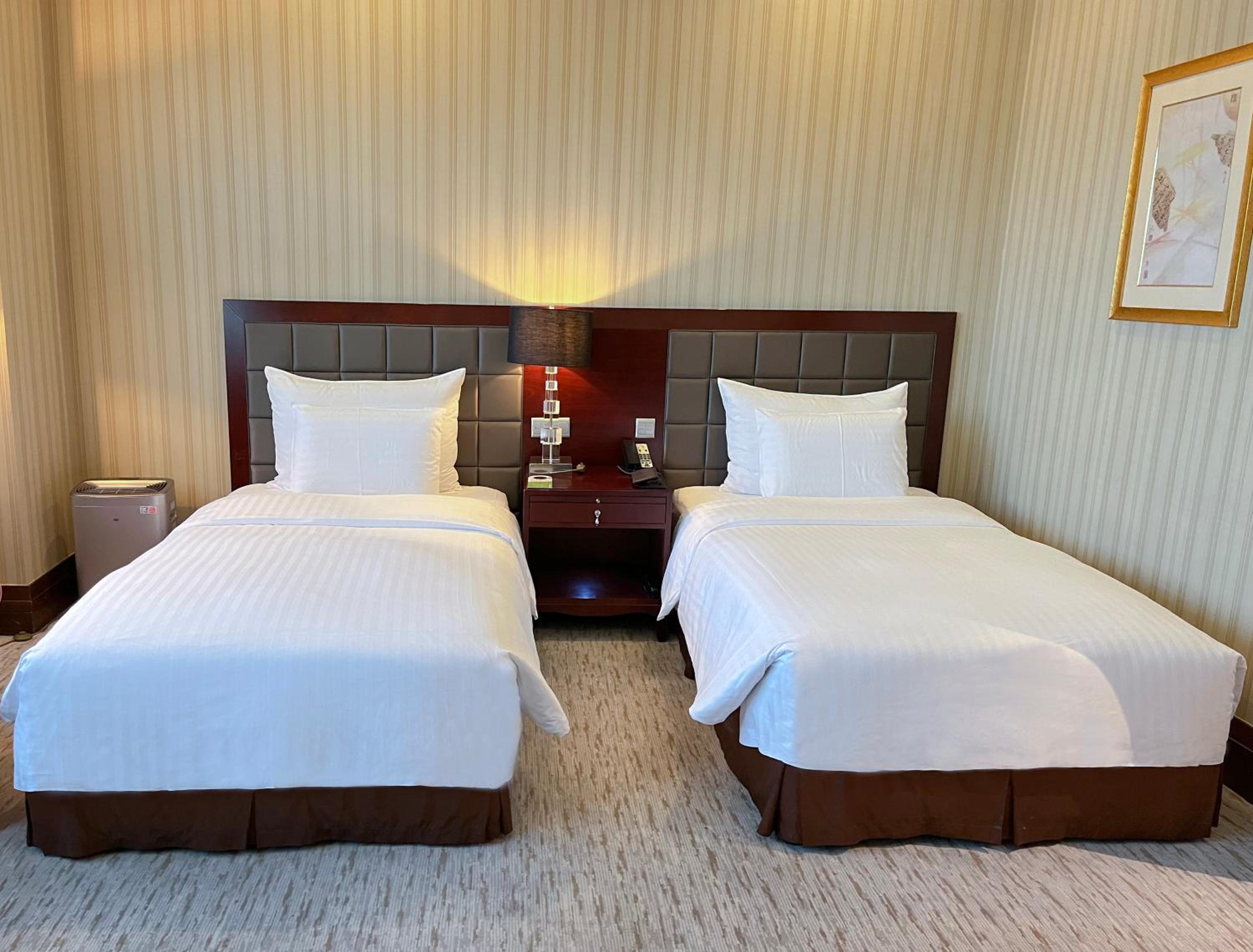Deluxe Twin Room - Photo 4
