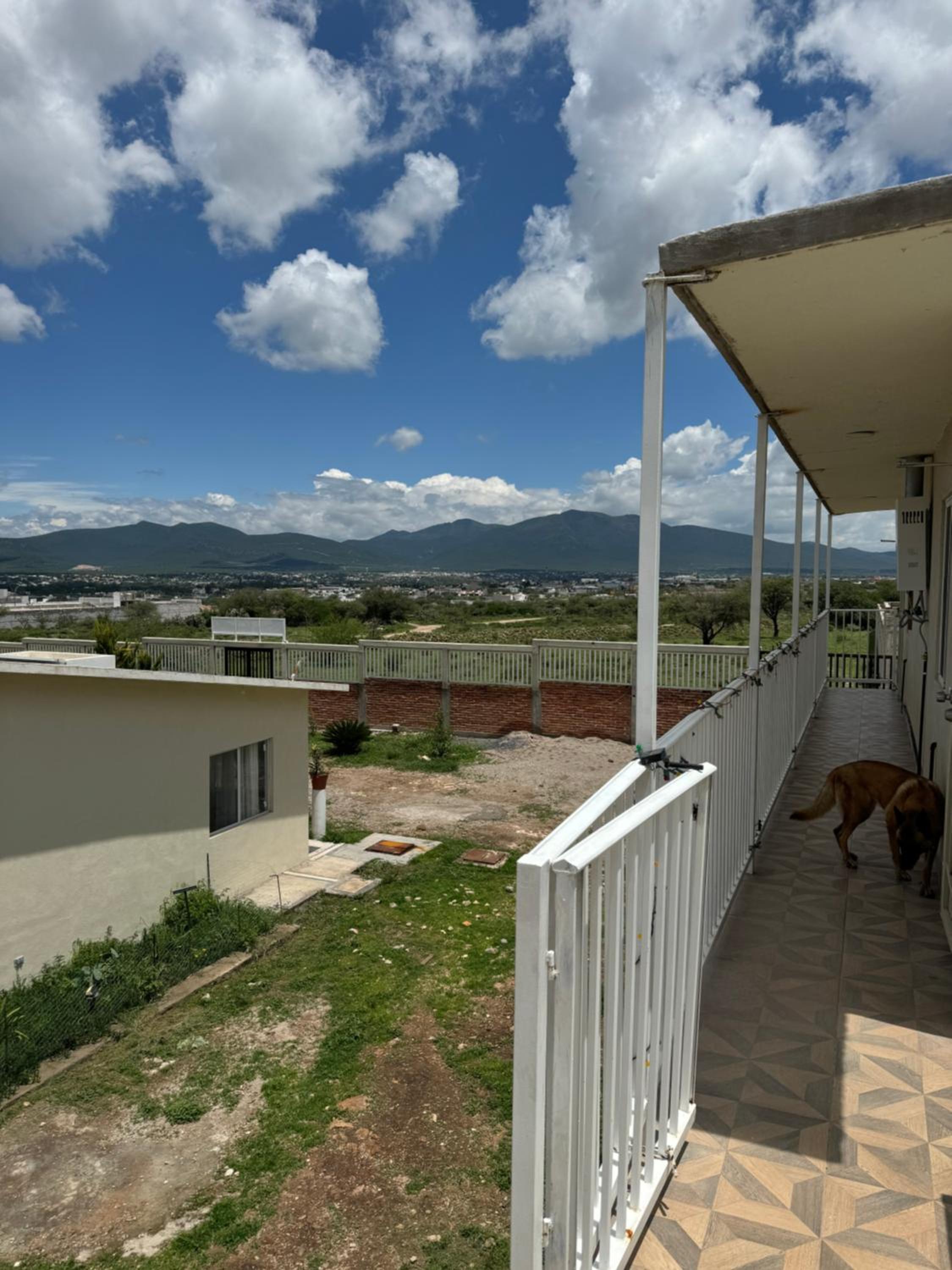 Superior Double or Twin Room with City View photo 2
