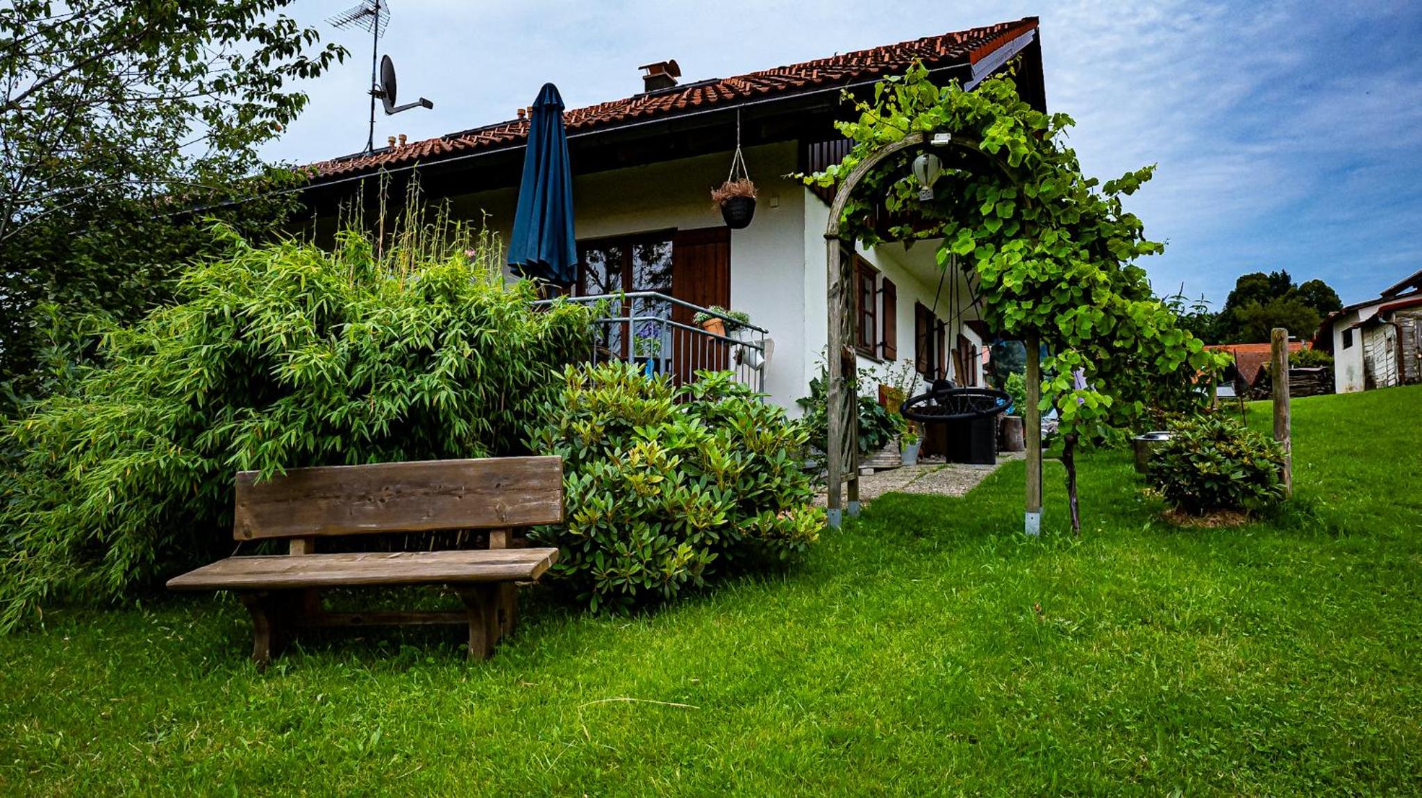 Apartment with Terrace photo 2