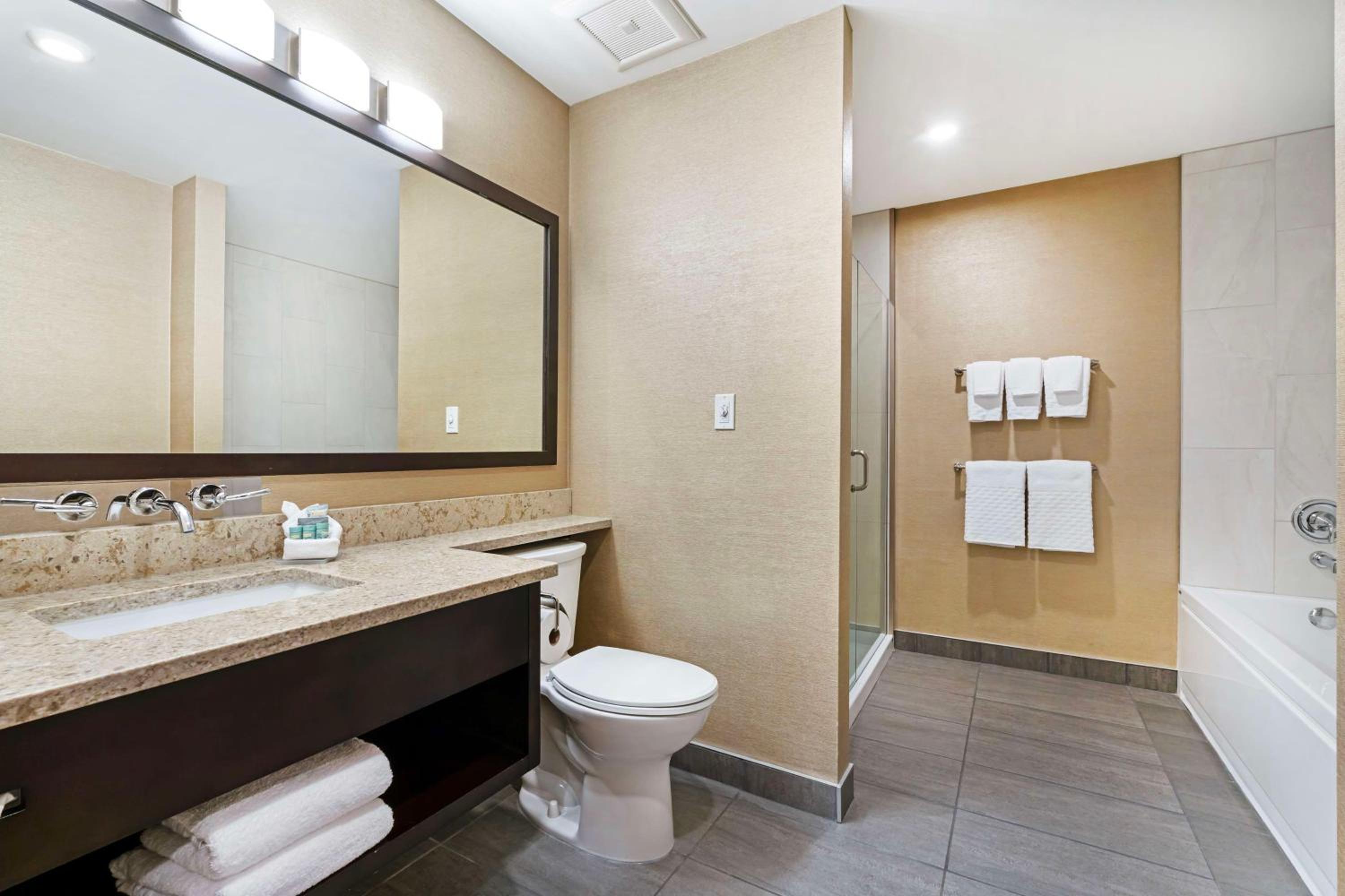 One-Bedroom King Suite with Sofa Bed and Balcony - Non-Smoking