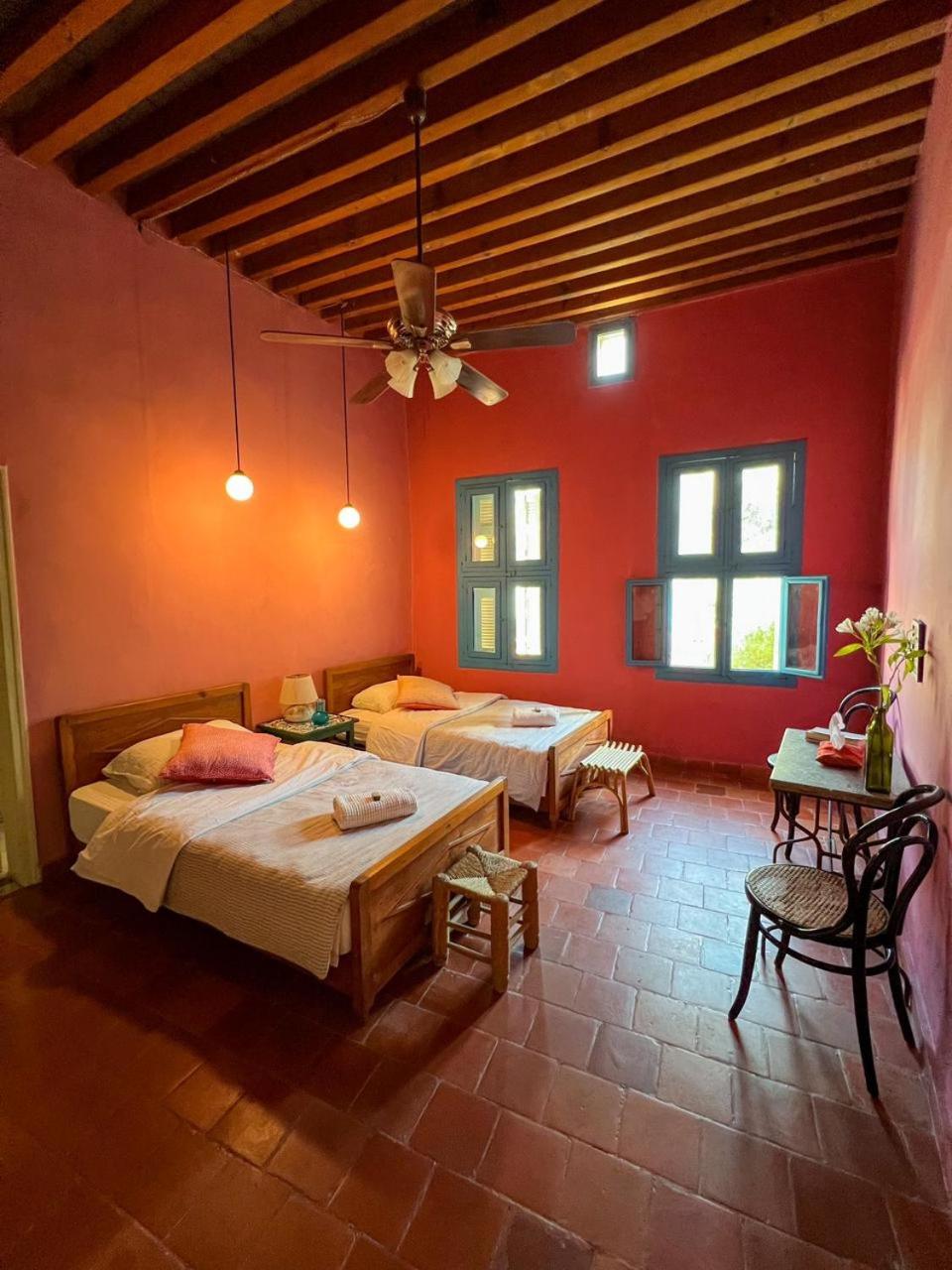 Double or Twin Room photo 1