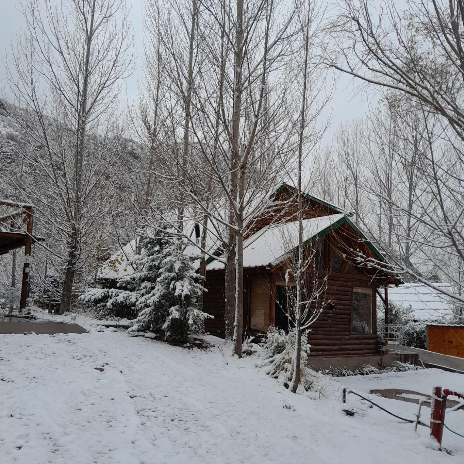 Three-Bedroom Chalet photo 2