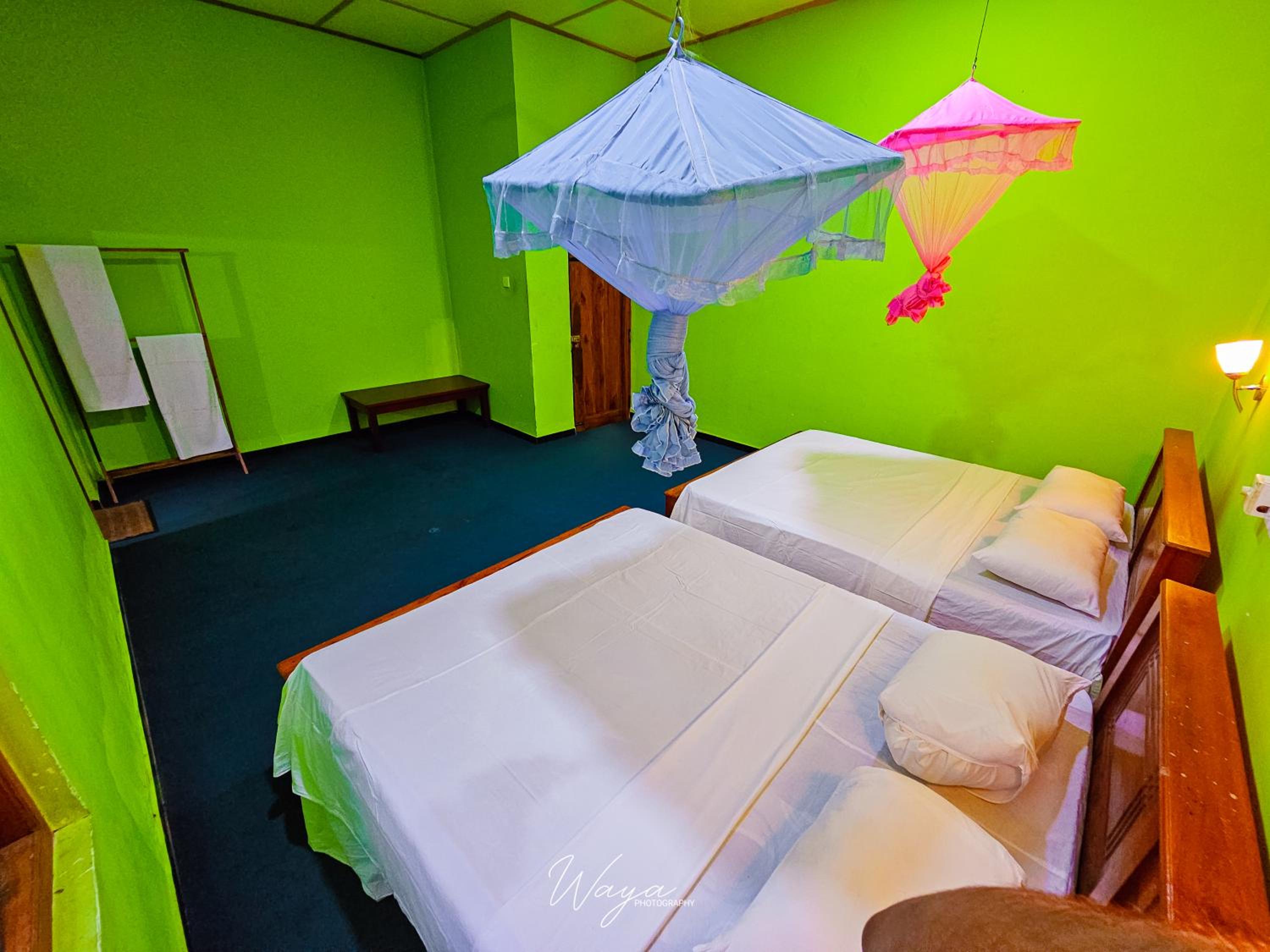 Double Room photo 3