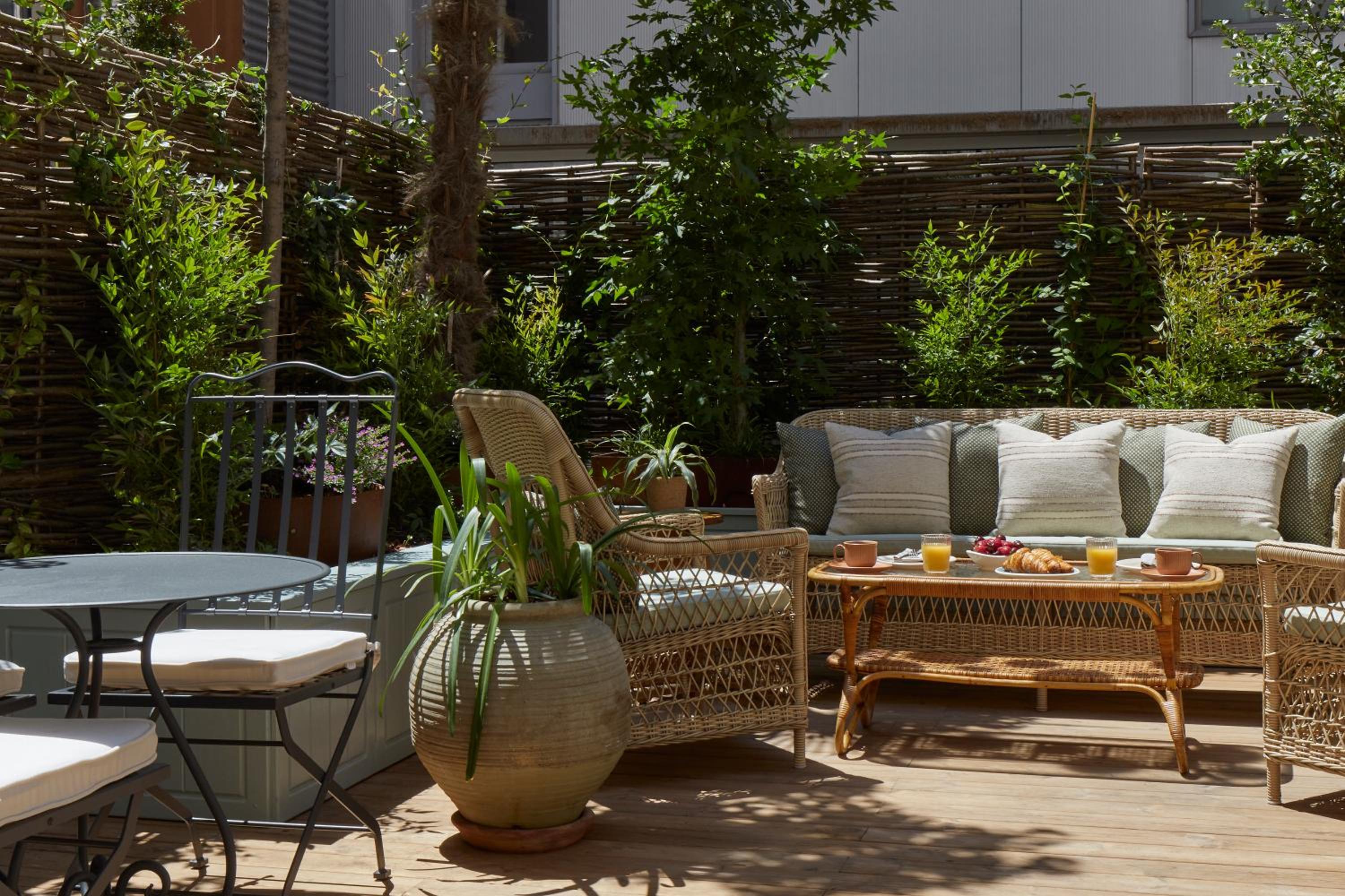 The Terrace photo 3