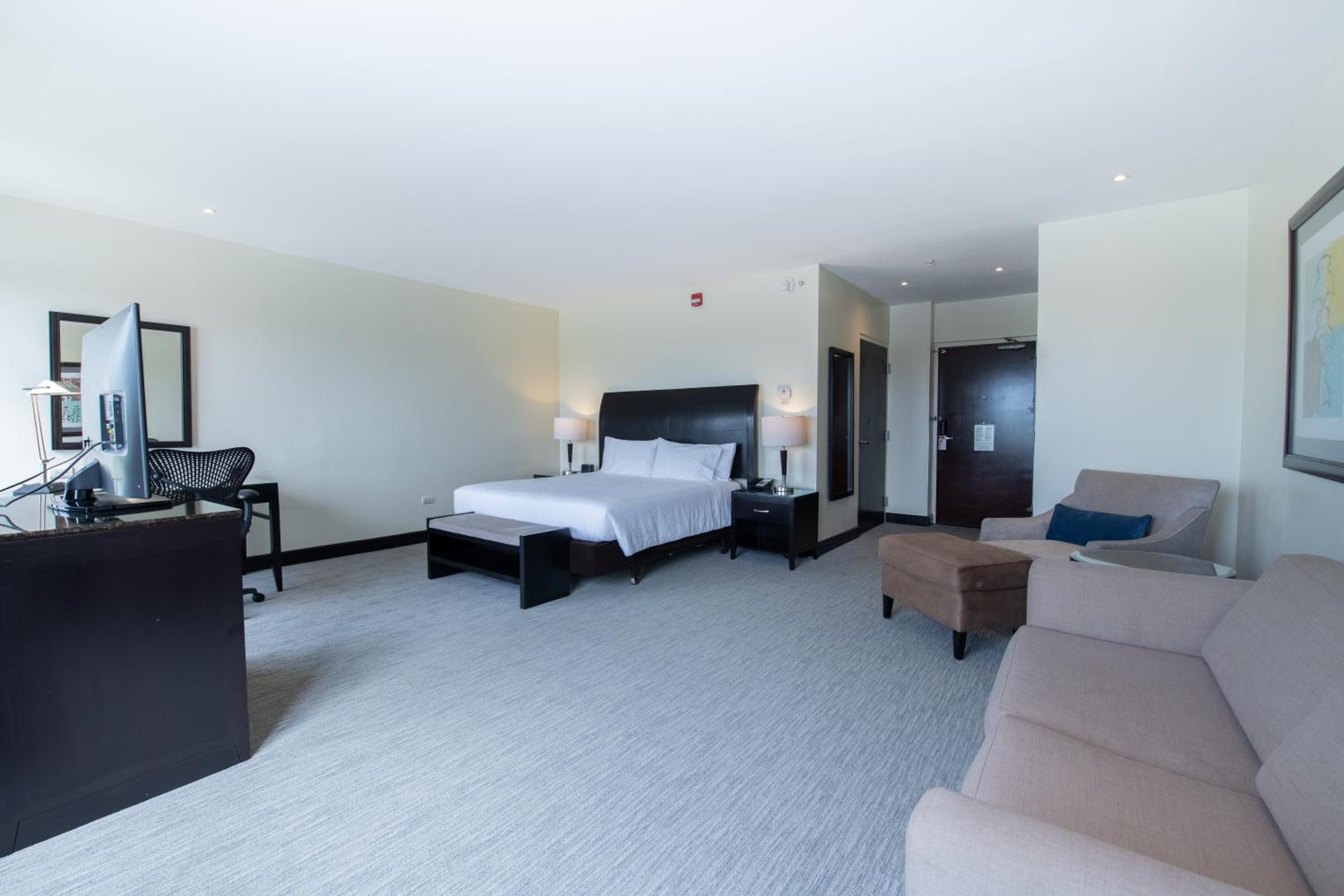 Junior King Suite with Seating Area photo 2
