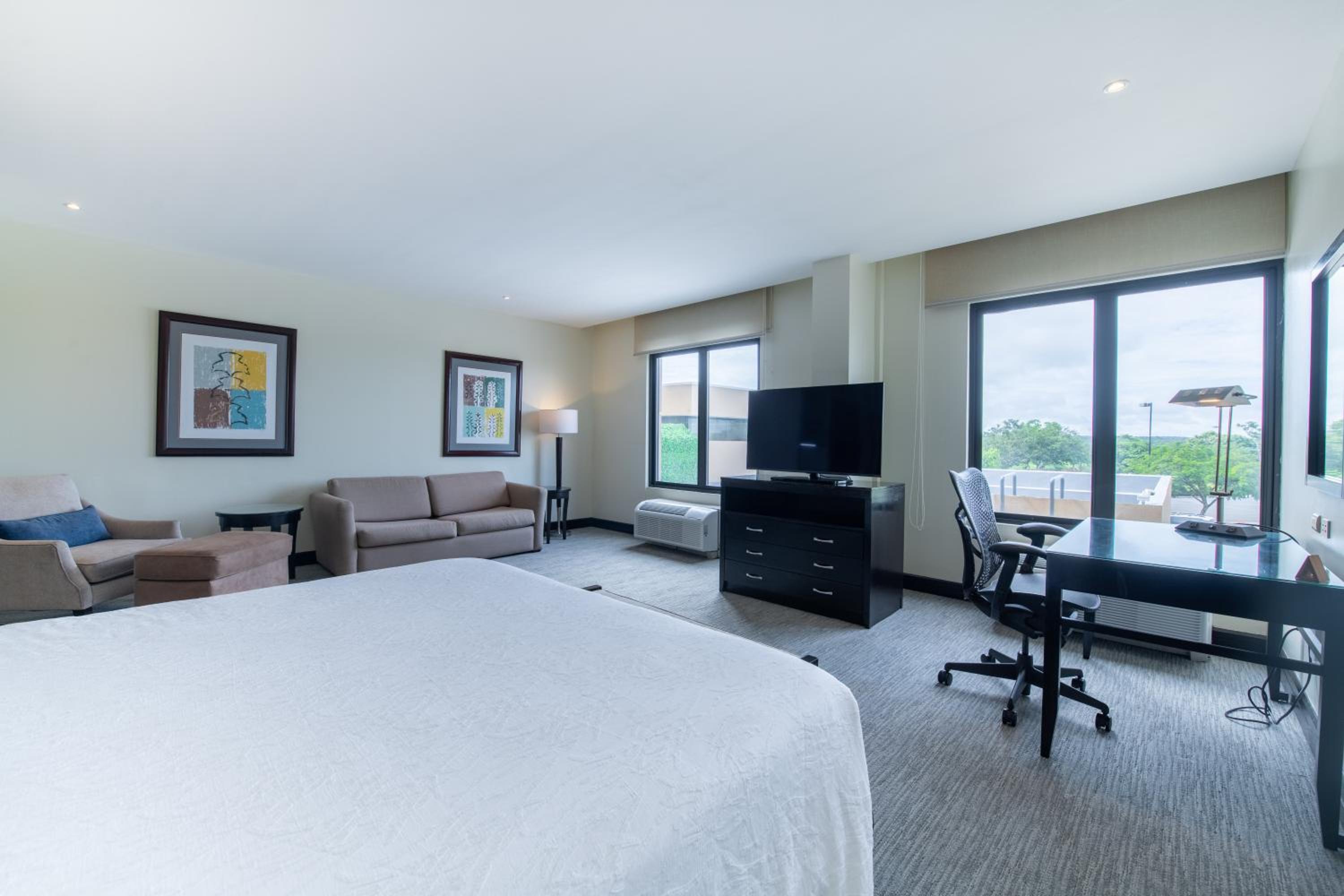Junior King Suite with Seating Area photo 3