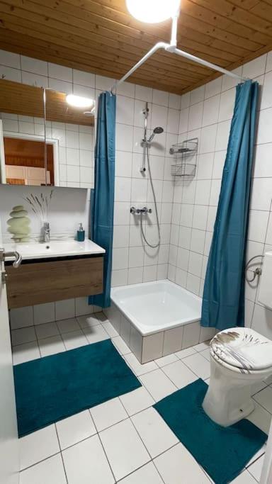 One-Bedroom Apartment photo 3