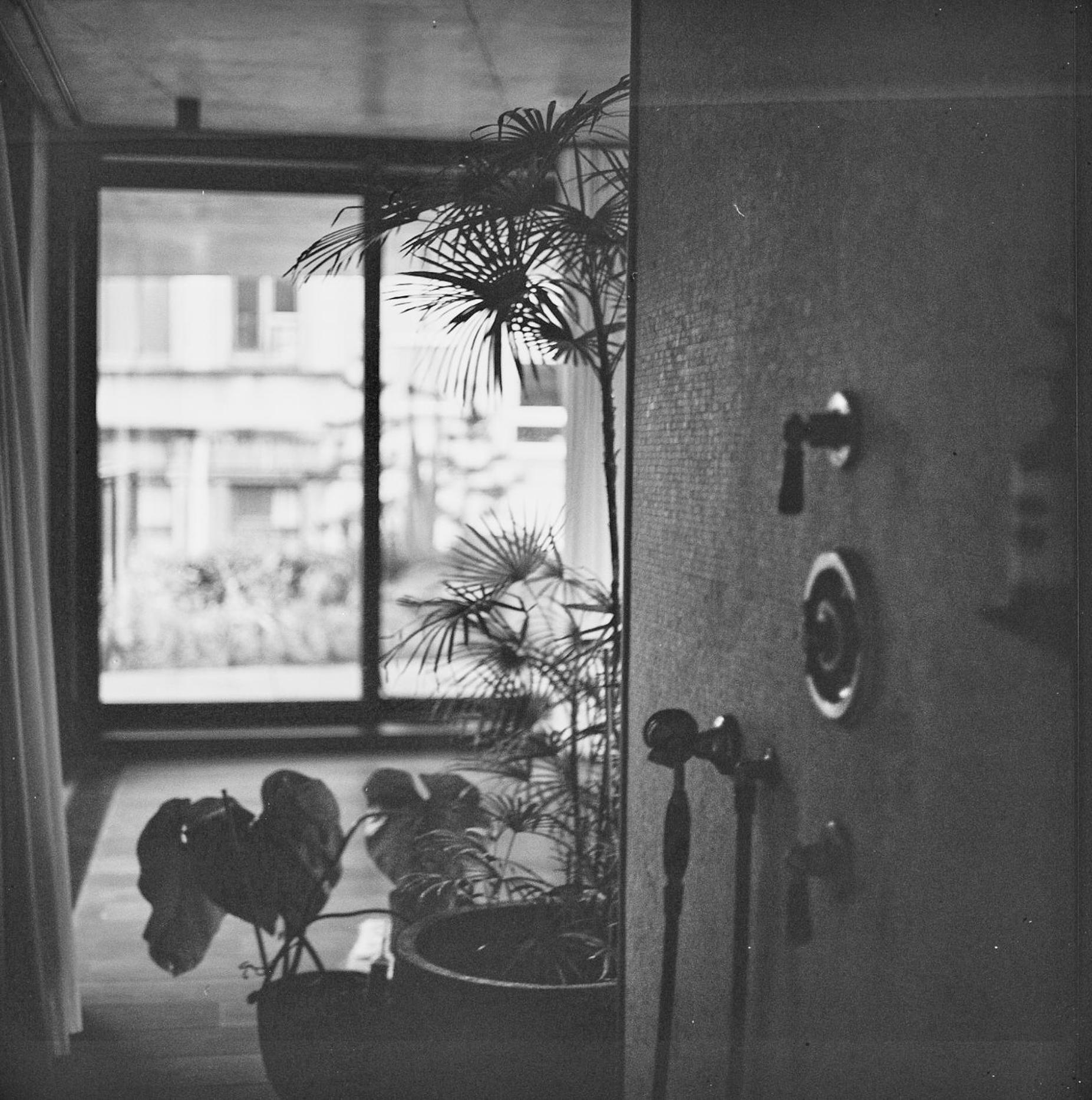 Deluxe King Studio - Photo 4