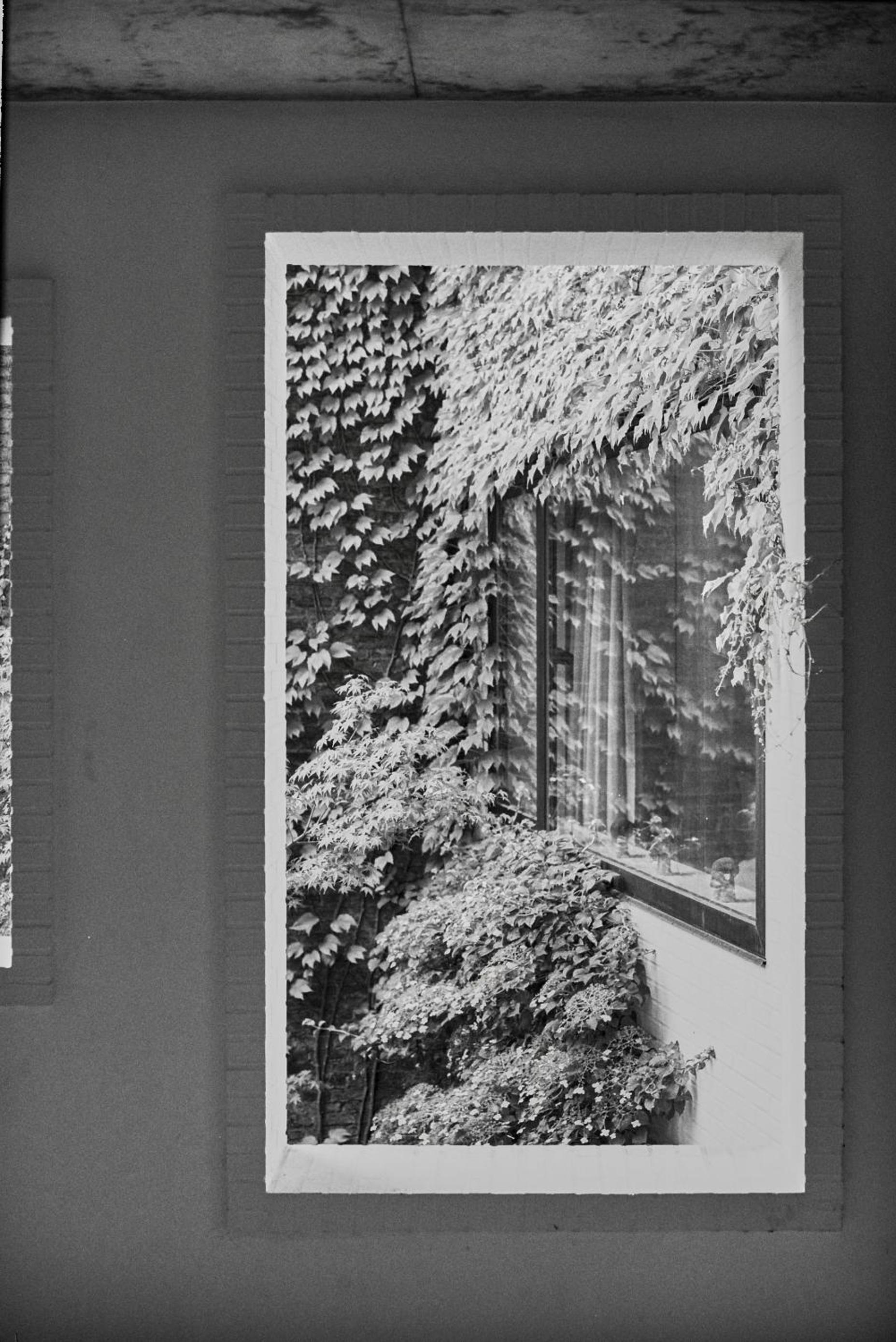 Double Room with Terrace - Photo 3