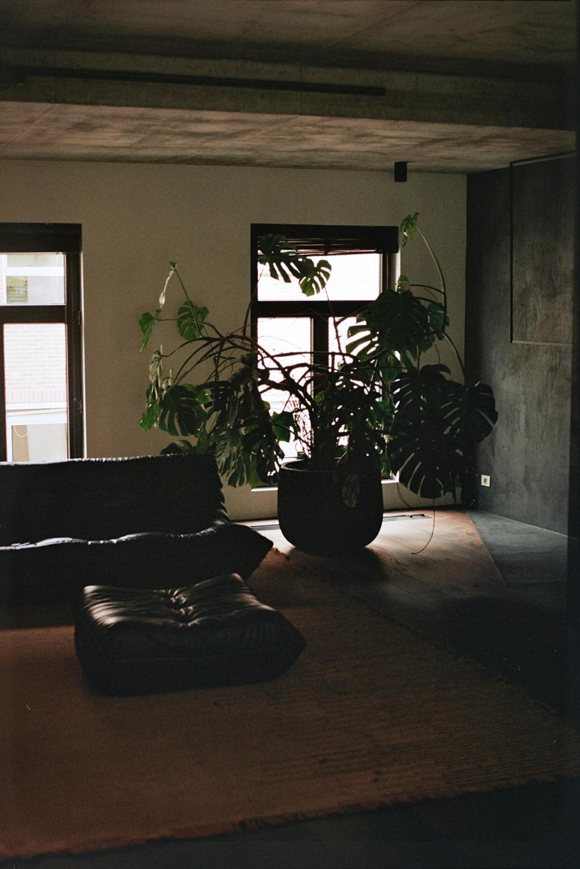 Double Room with Terrace - Photo 1