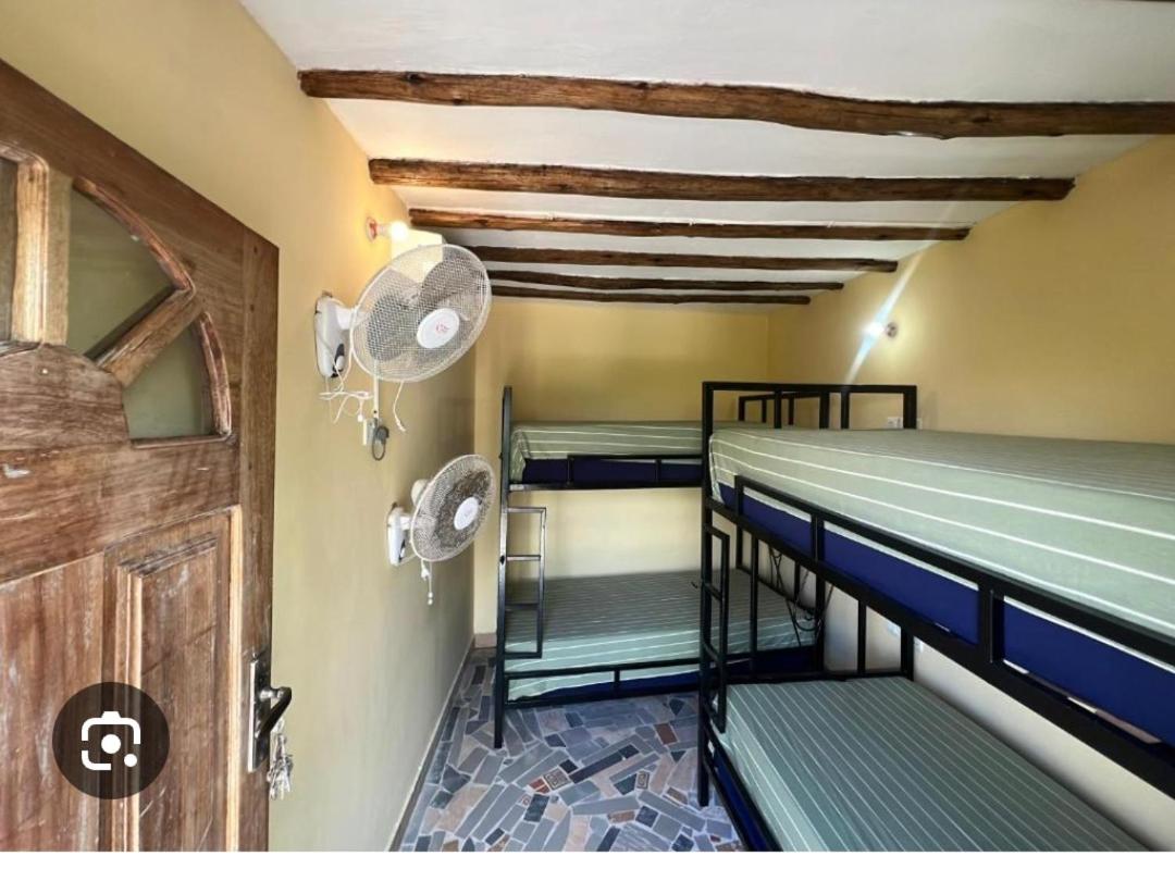 Single Bed In Dormitory Room photo 1