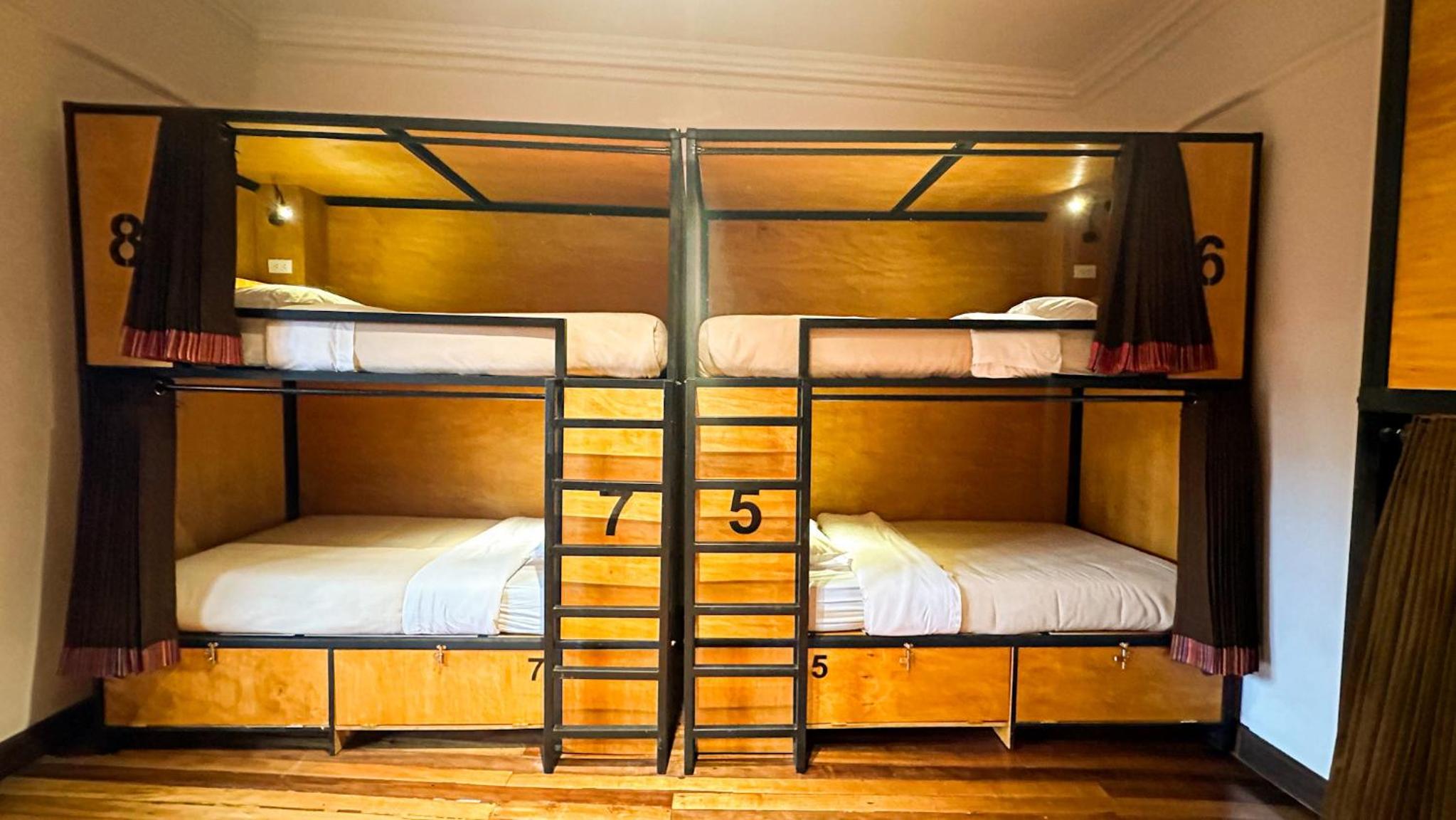 Bunk Bed in Mixed Dormitory Room photo 2