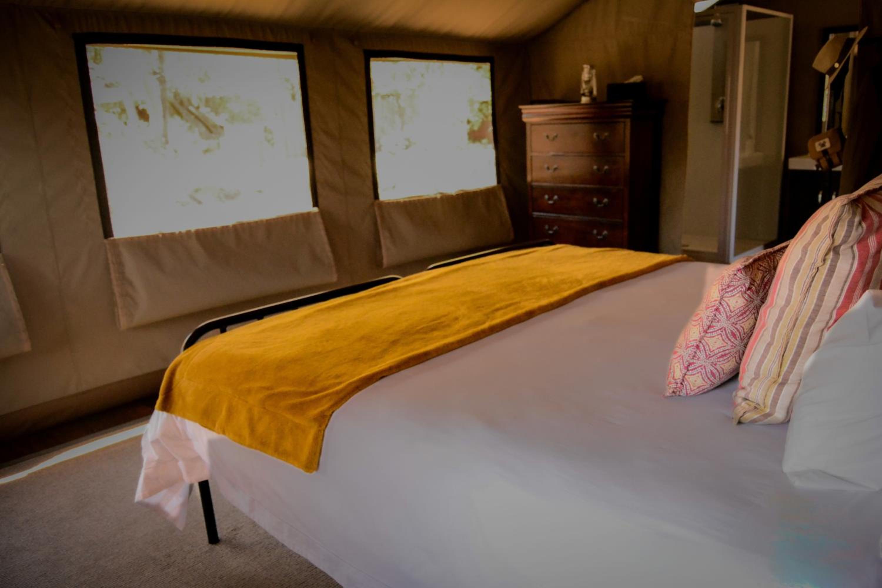 Tented Safari Camp photo 3