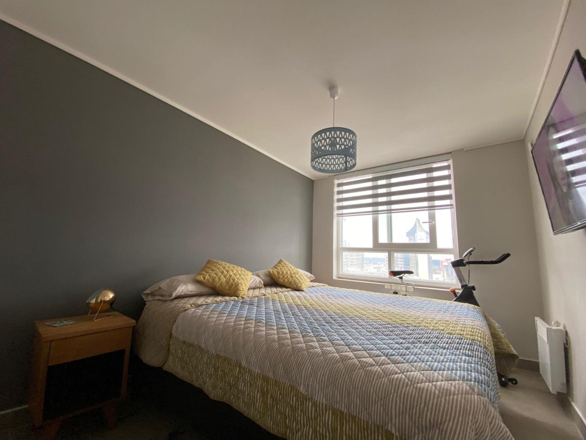 Superior One-Bedroom Apartment with Balcony photo 2