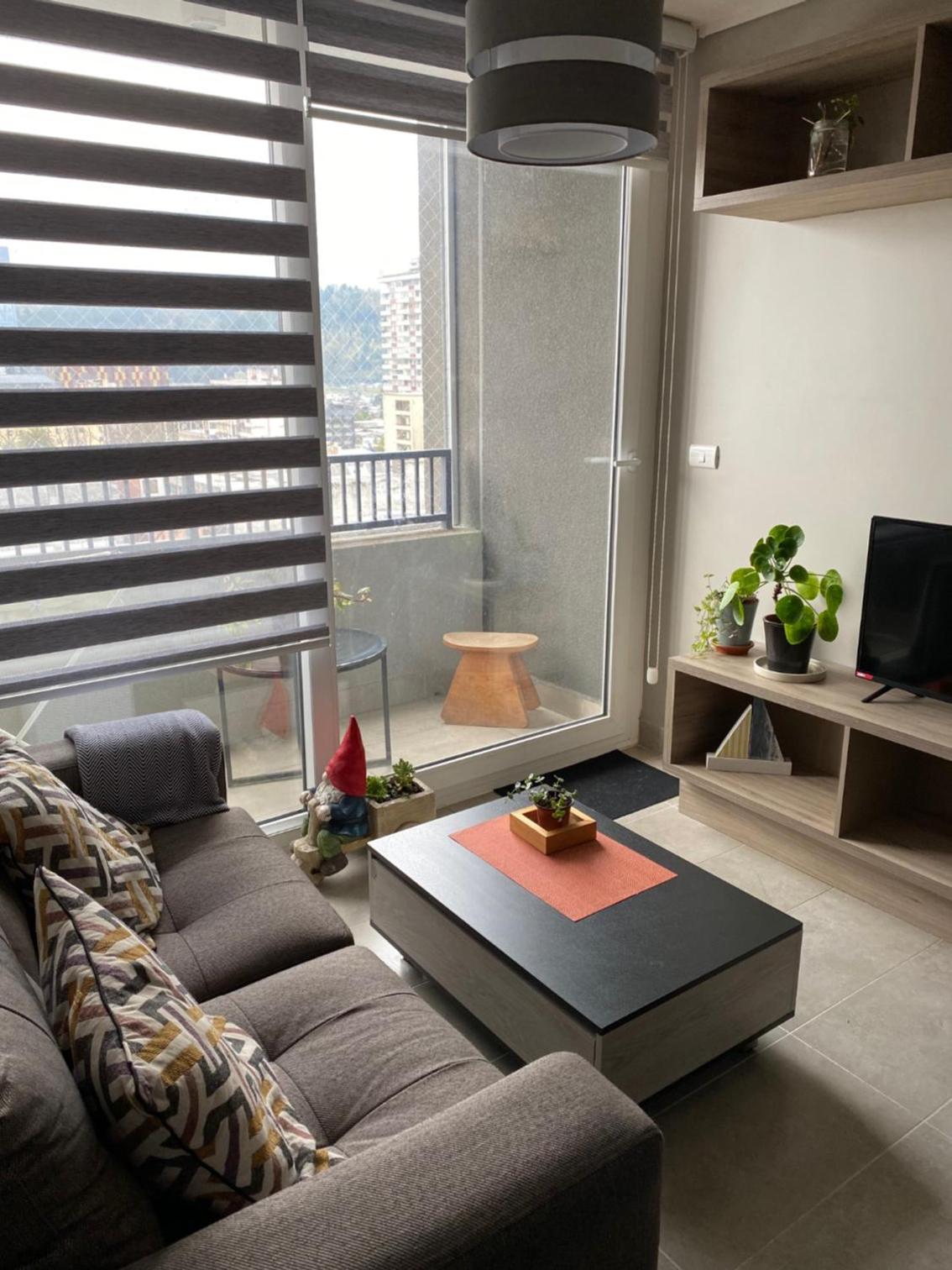 Superior One-Bedroom Apartment with Balcony photo 3