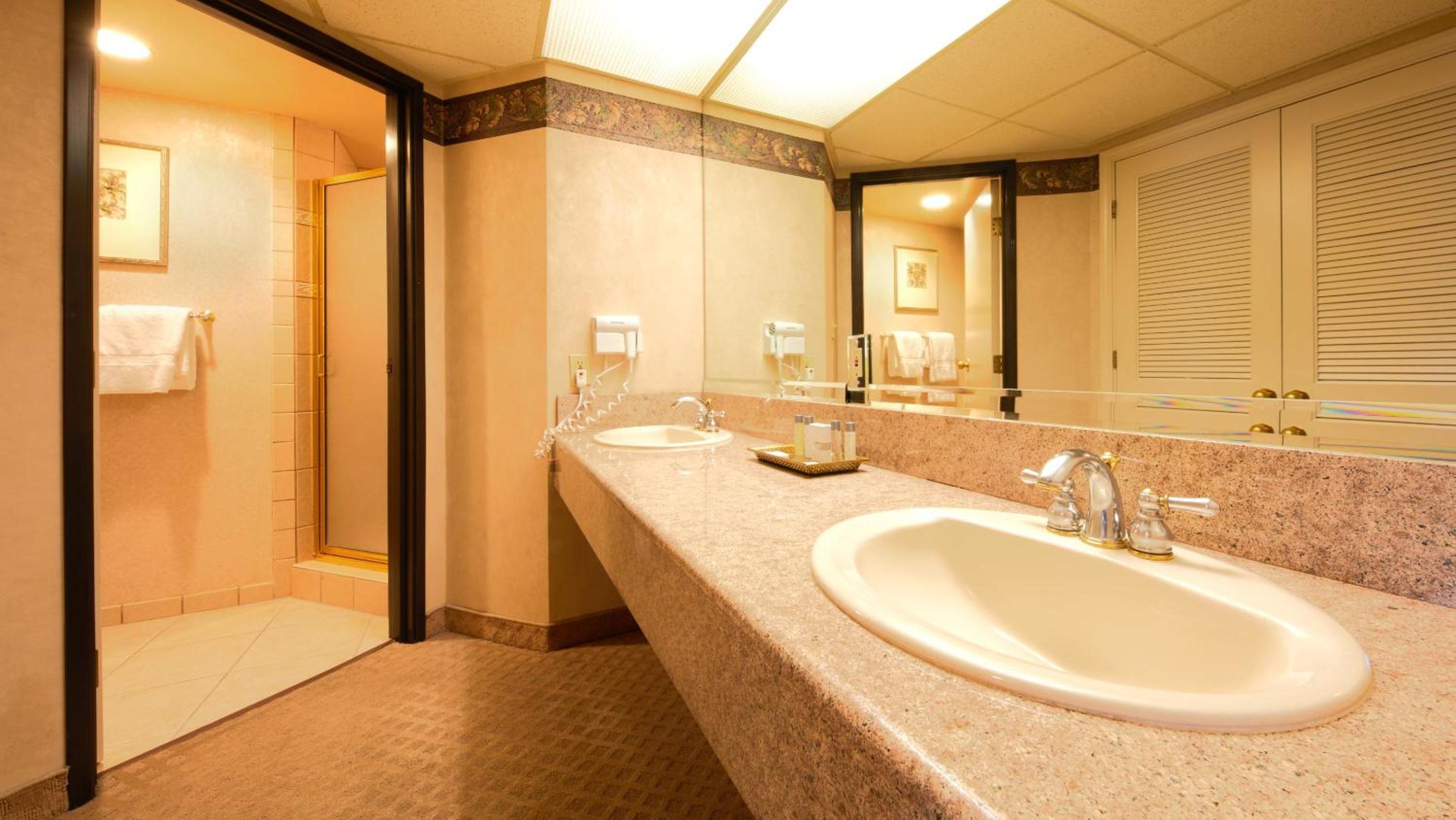 Petite Suite King Non-Smoking photo 2