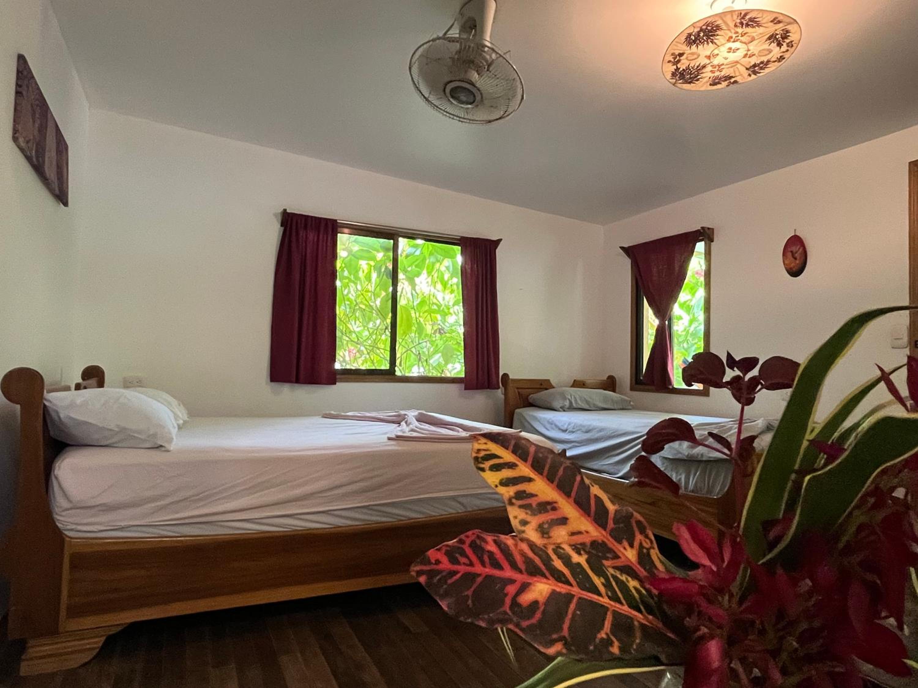 Standard Double or Twin Room with Balcony photo 3