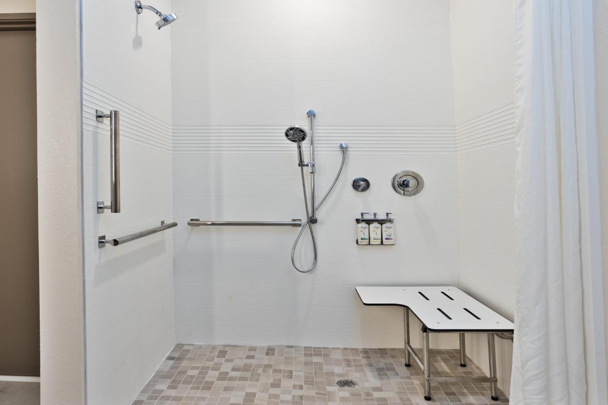 Queen Studio Suite with Mobility Accessible Roll-In Shower - Photo 2