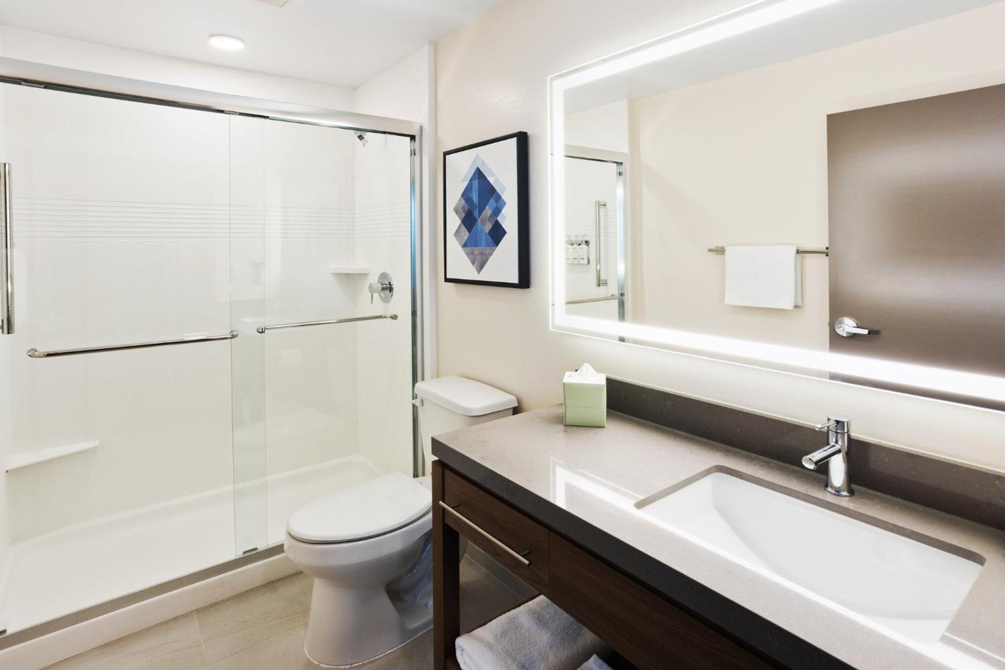 King Studio Suite - Photo 3