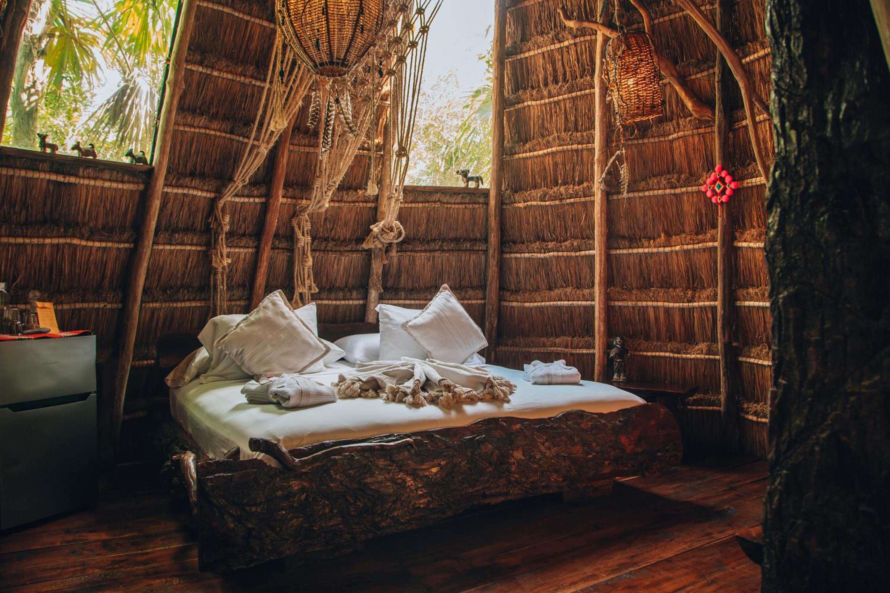 Jungle Mayan Suite