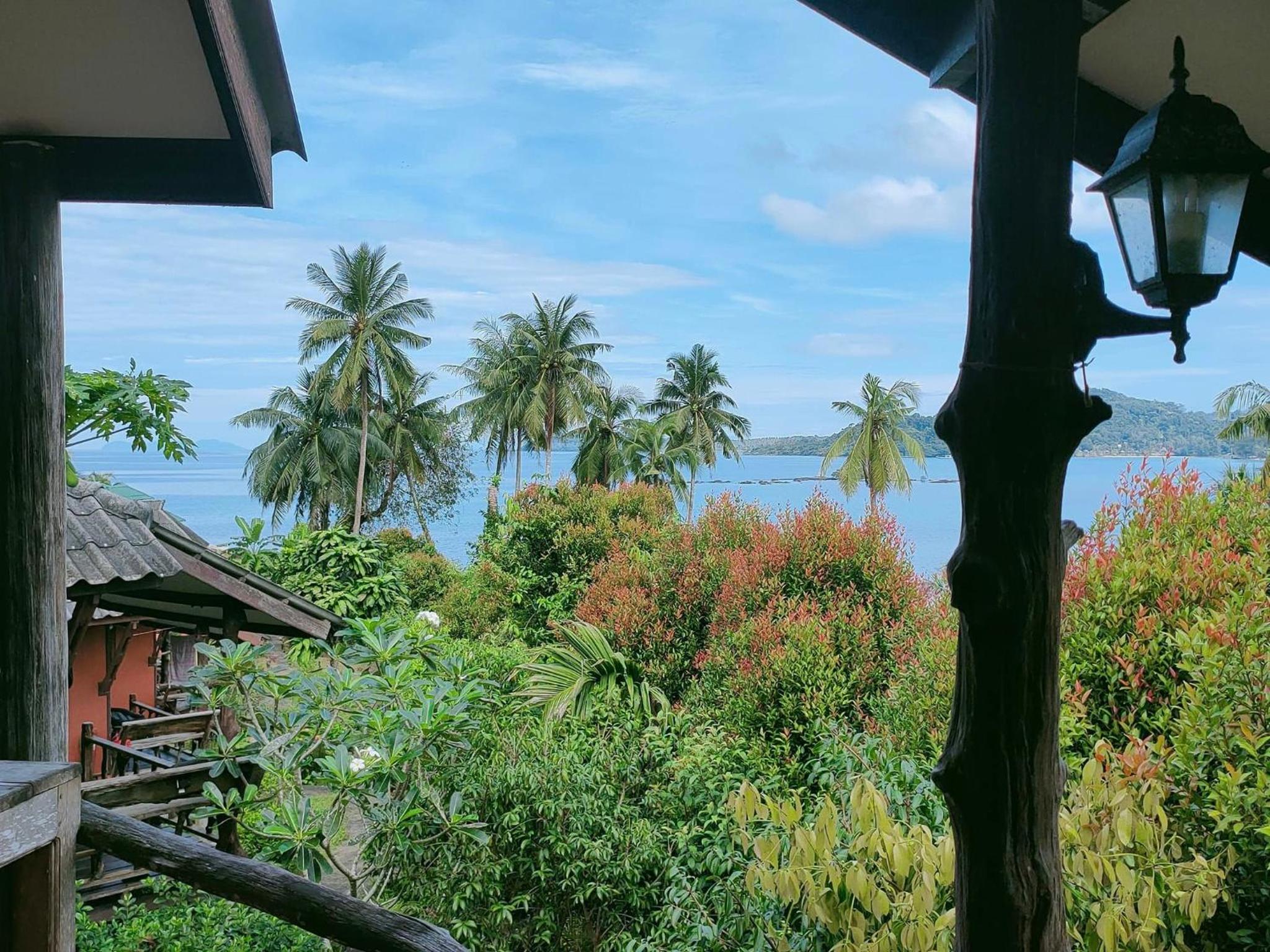 Double Room with Garden View photo 3