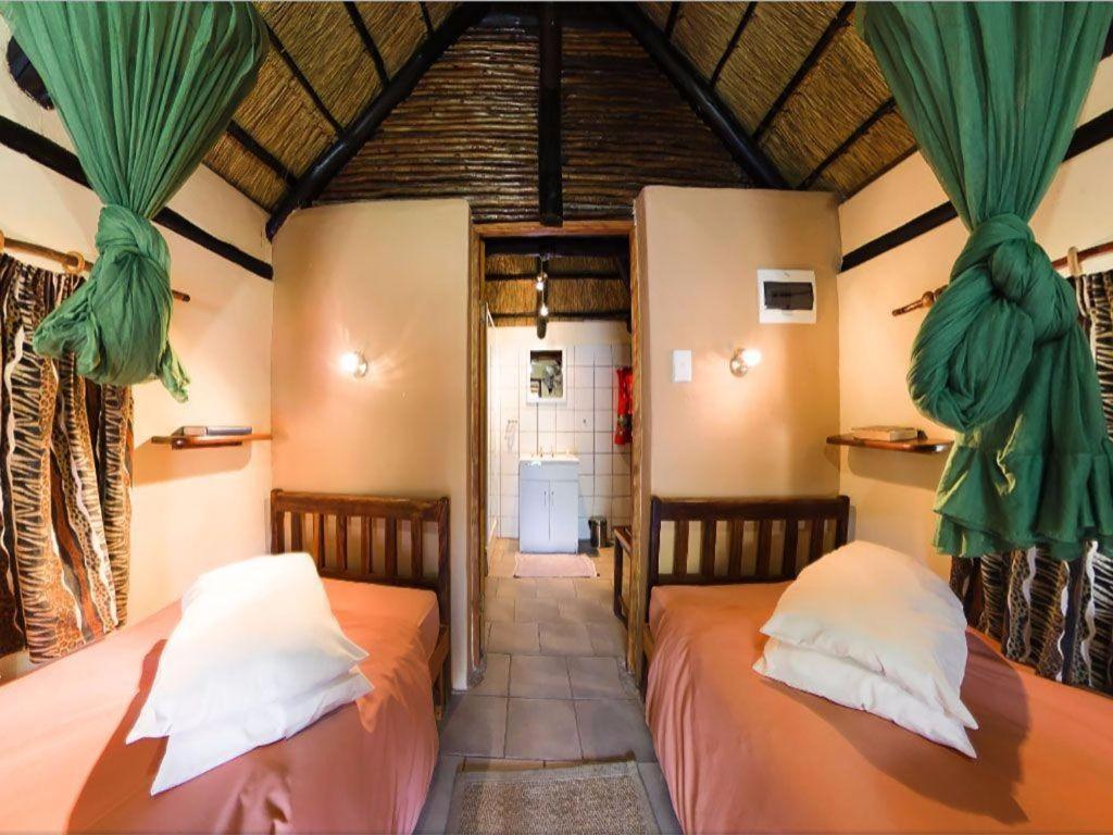 Single Room photo 1