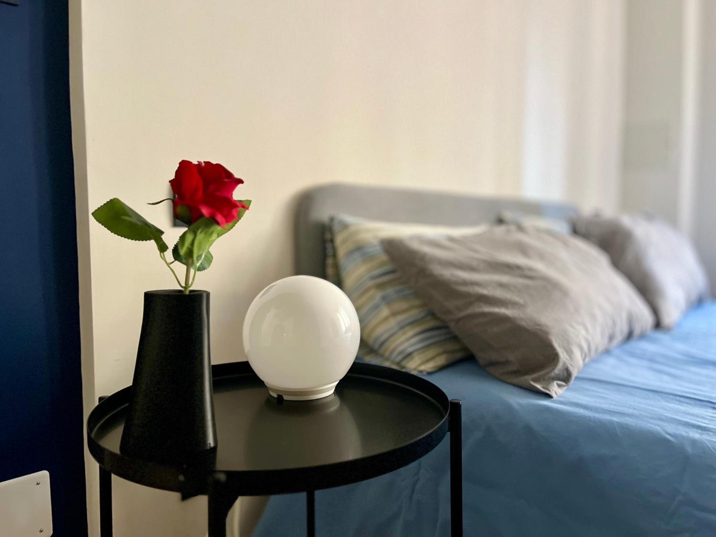 One-Bedroom Apartment photo 3
