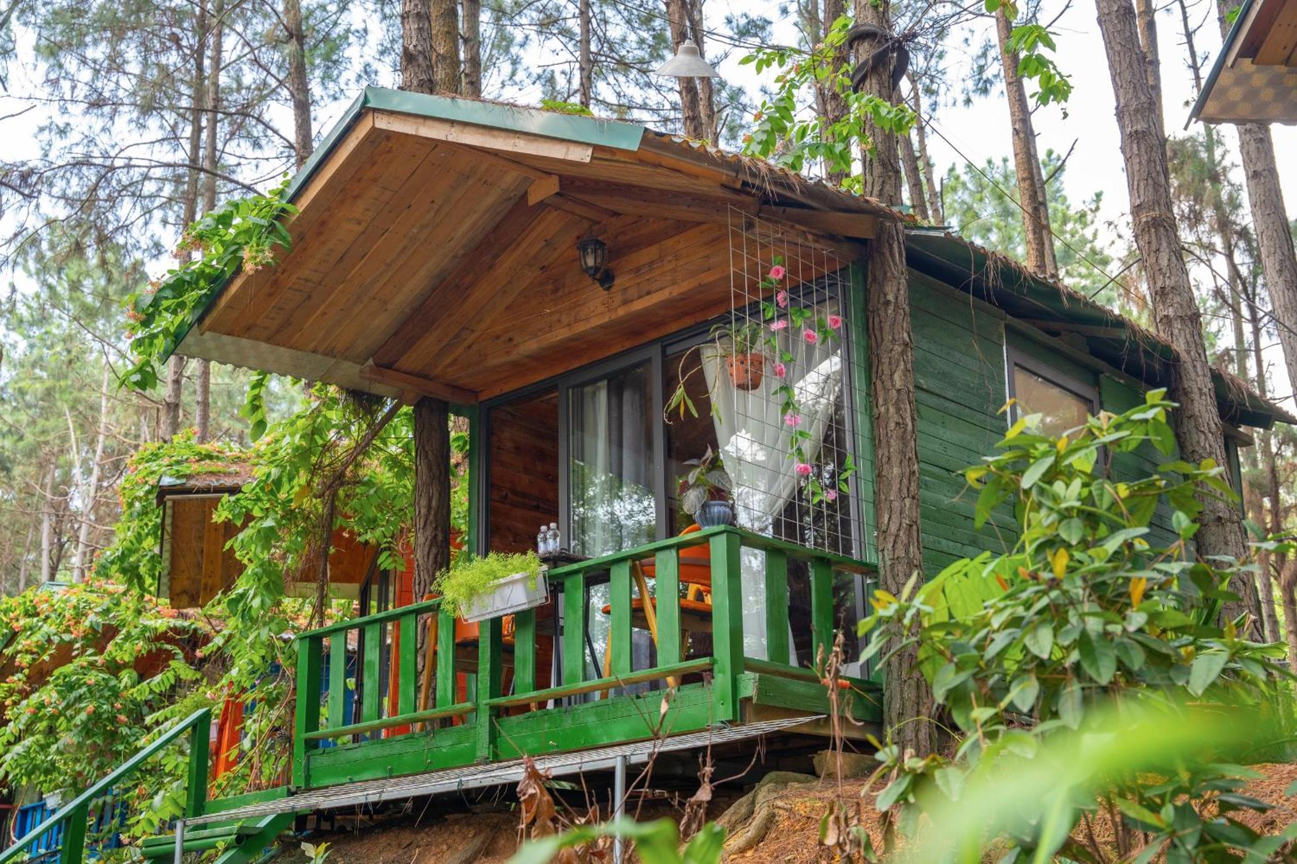 Superior Bungalow photo 2