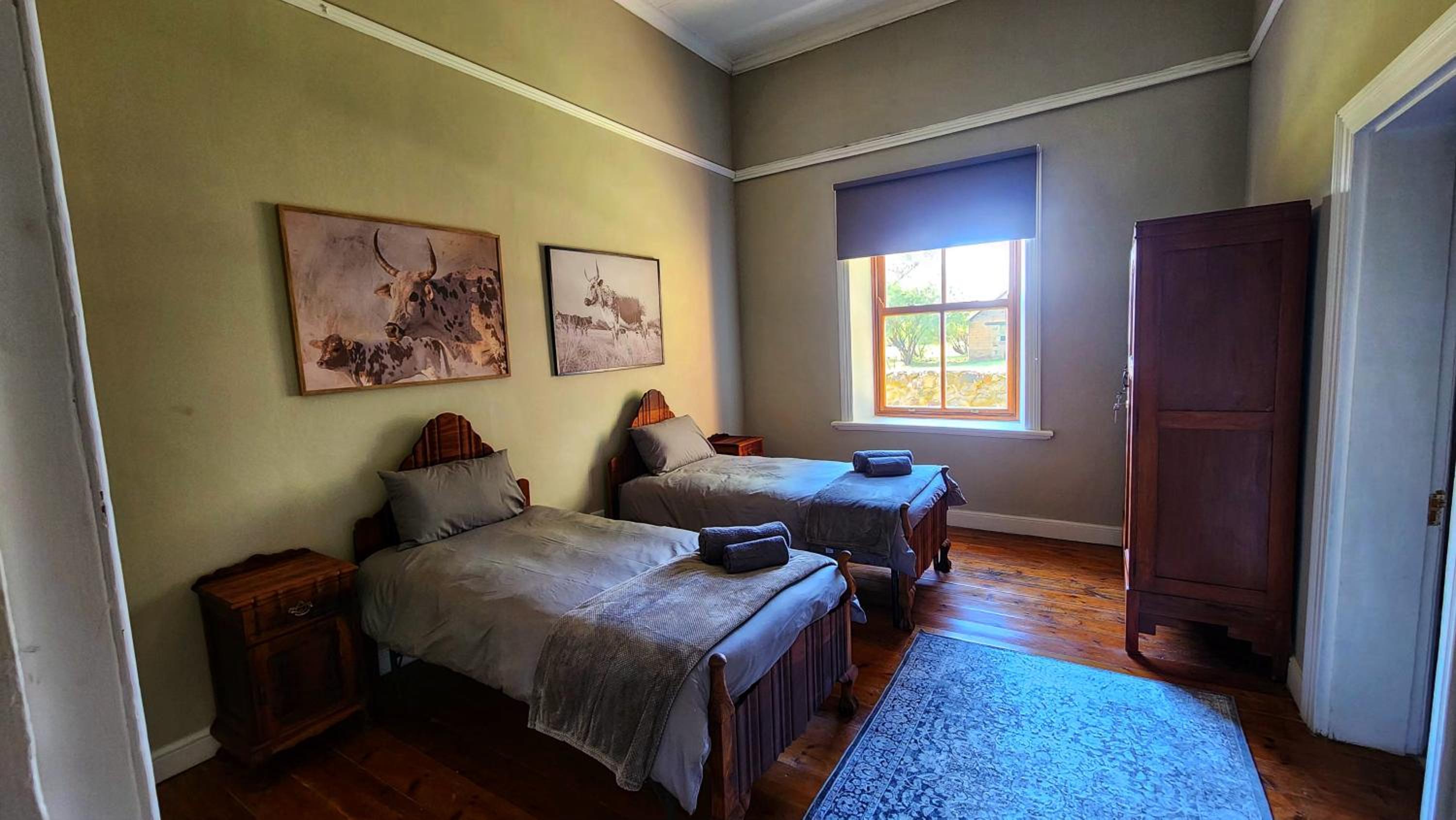 Twin Room photo 1