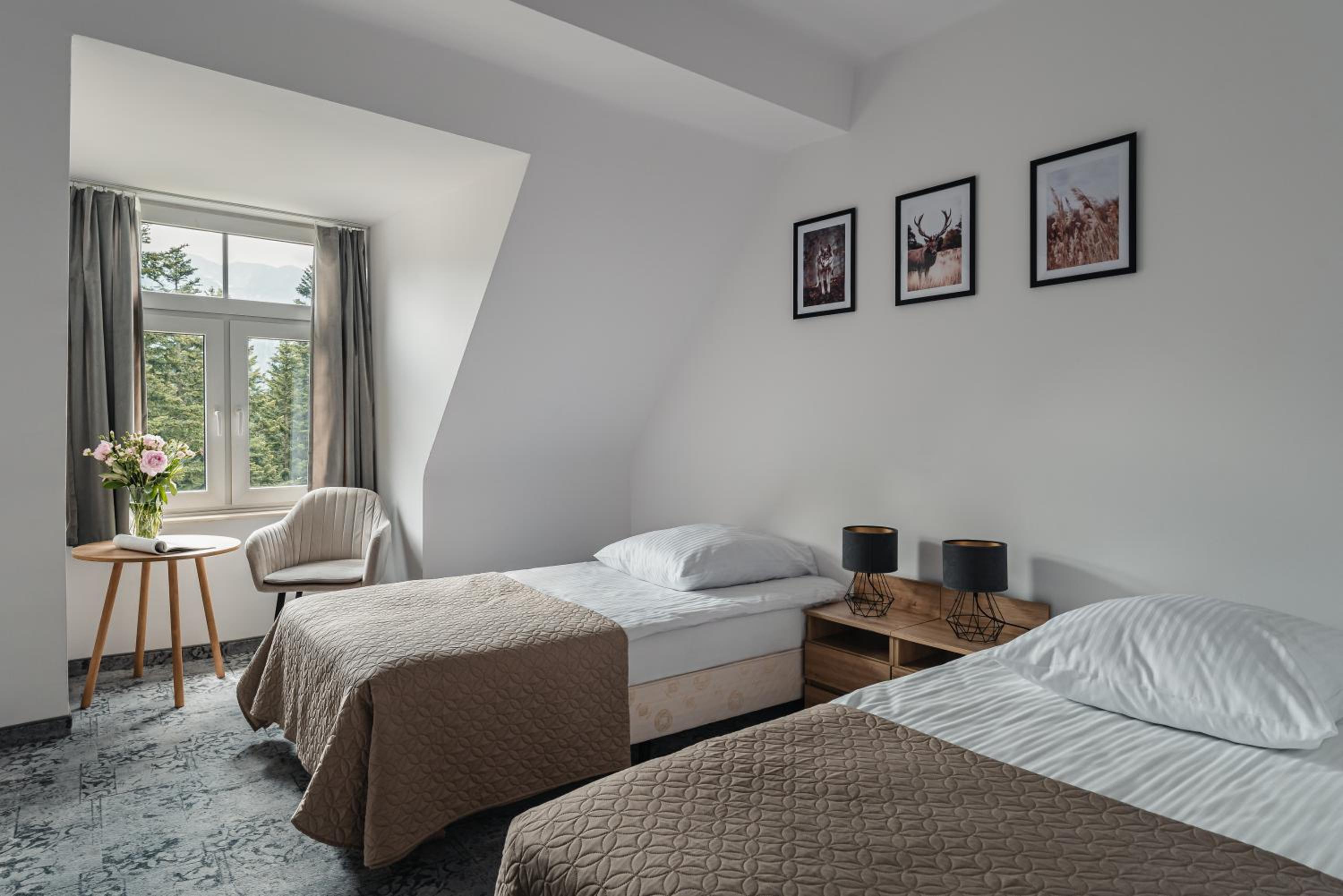 Double Room with Mountain View