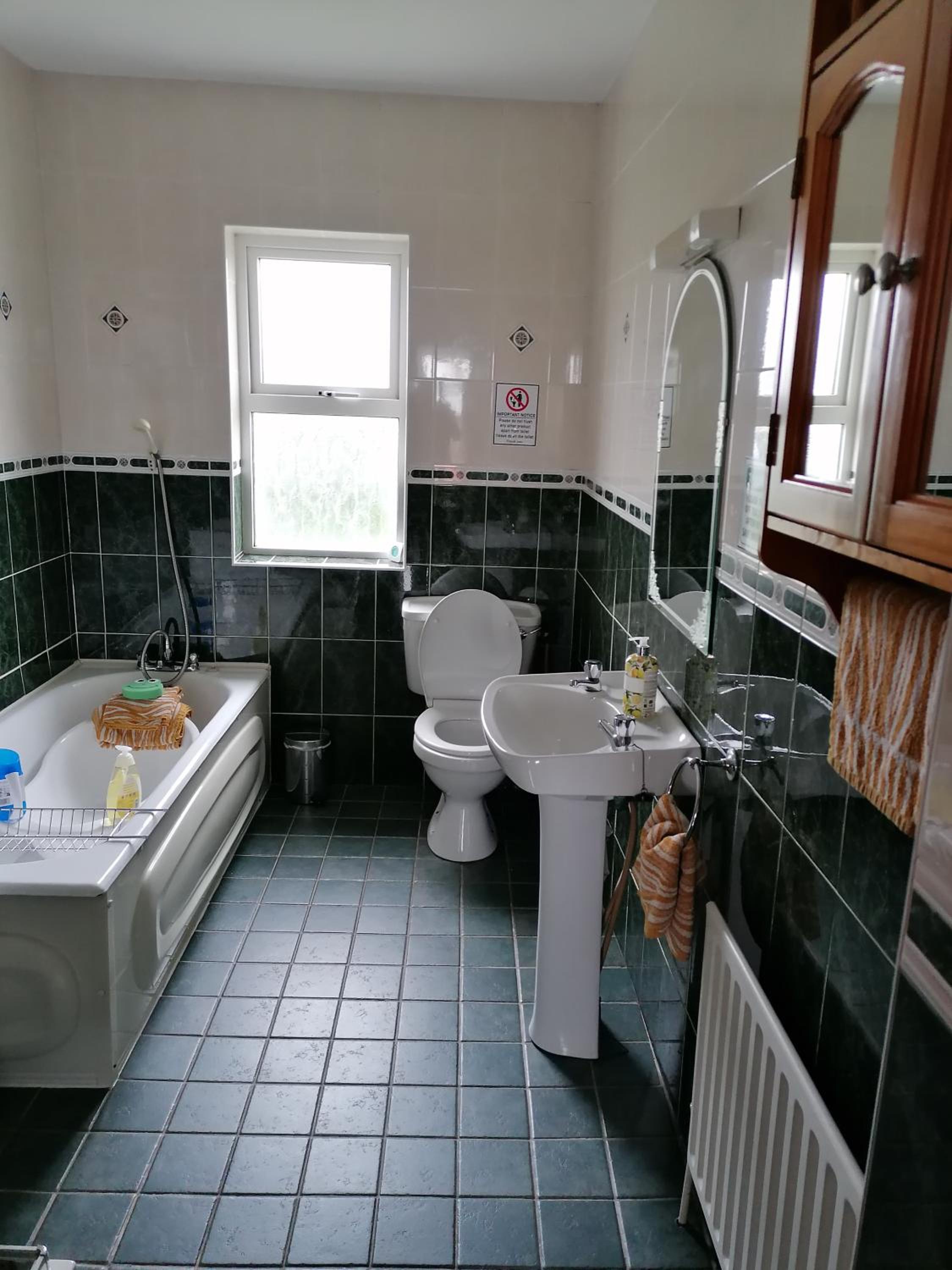 Five-Bedroom House - Photo 30