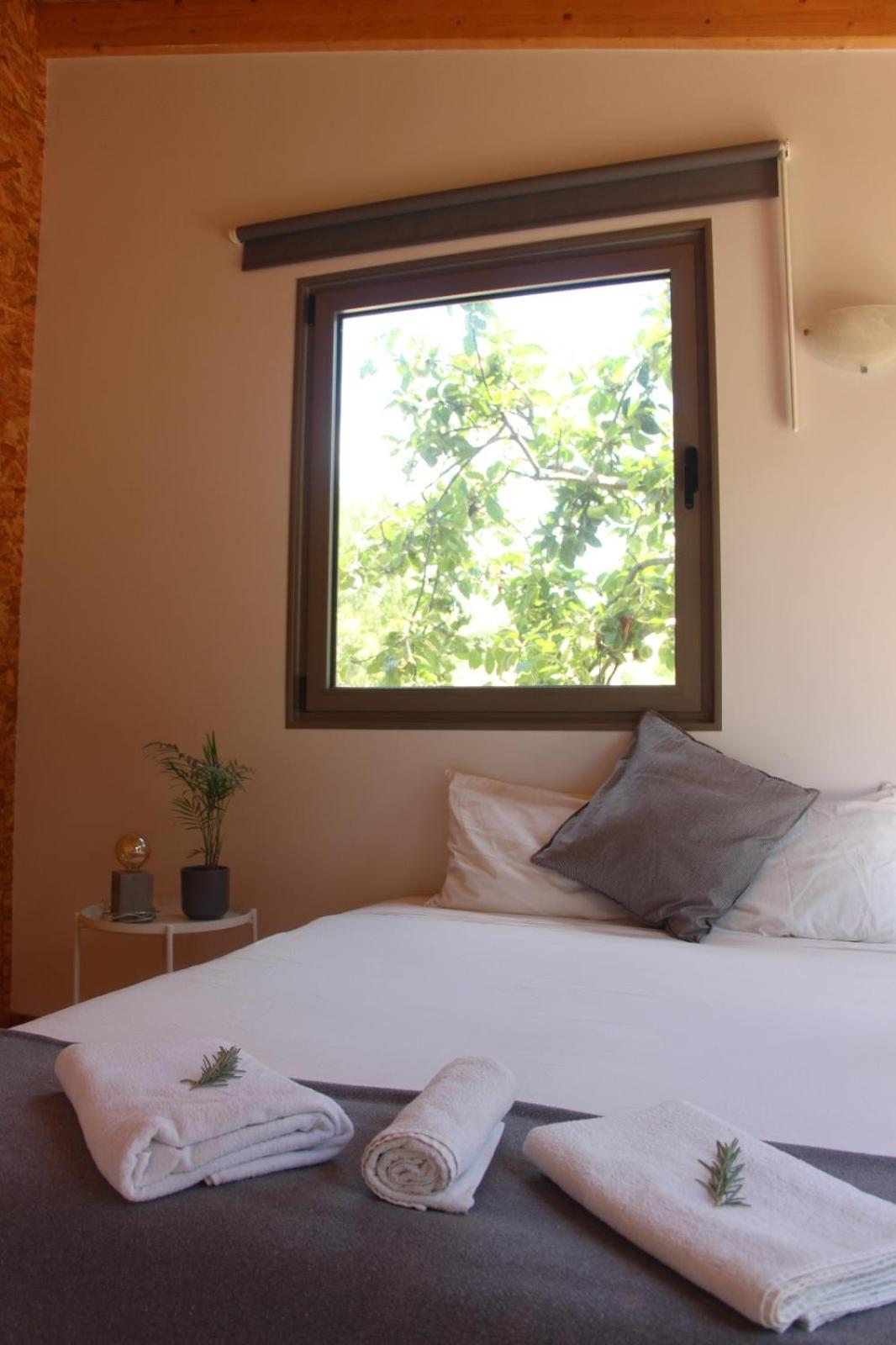 Suite with Garden View photo 1