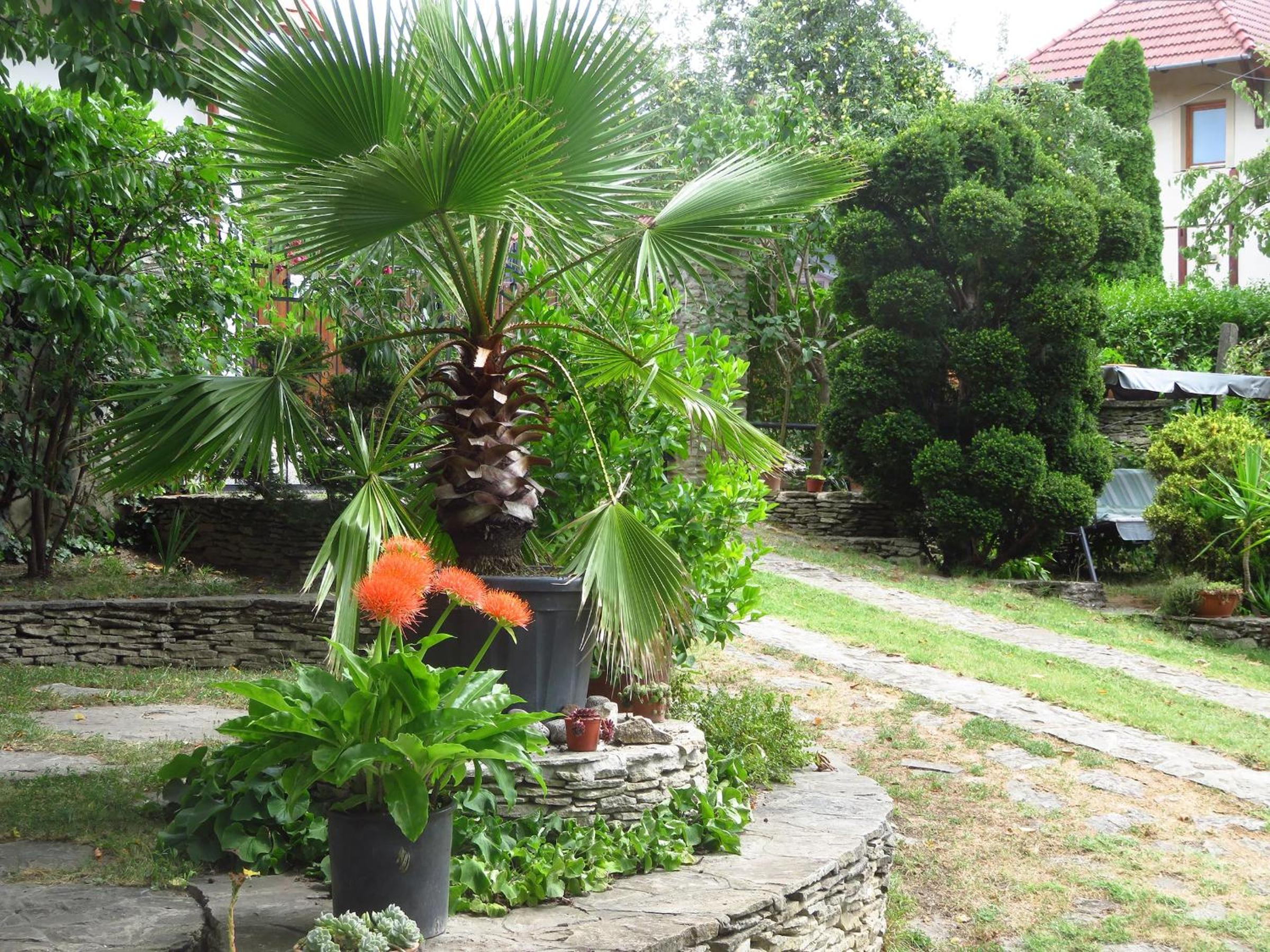 Apartment with Balcony photo 2