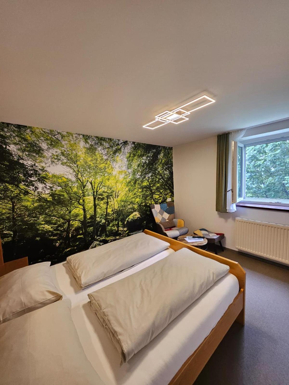 Budget Basement Double Room with Window photo 2