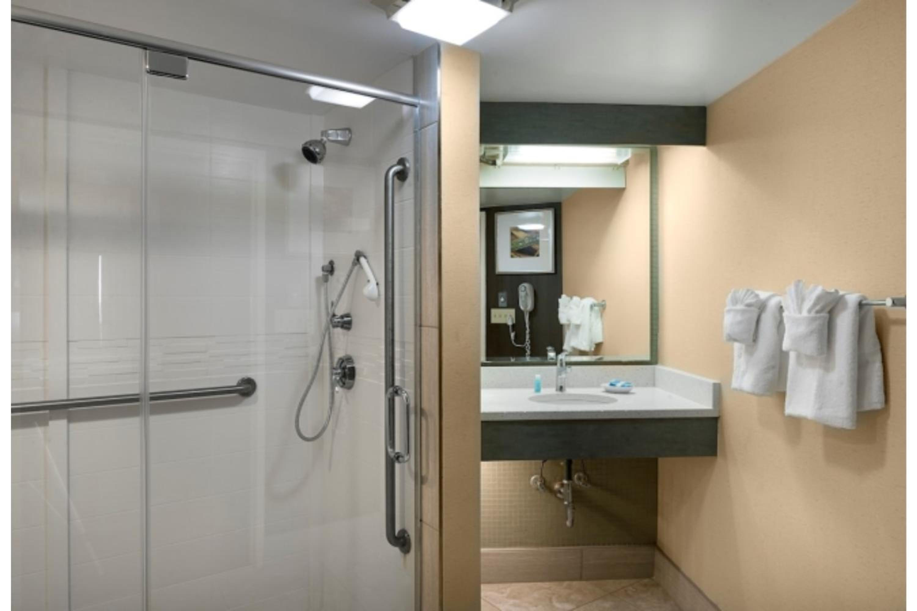 Suite - Photo 3