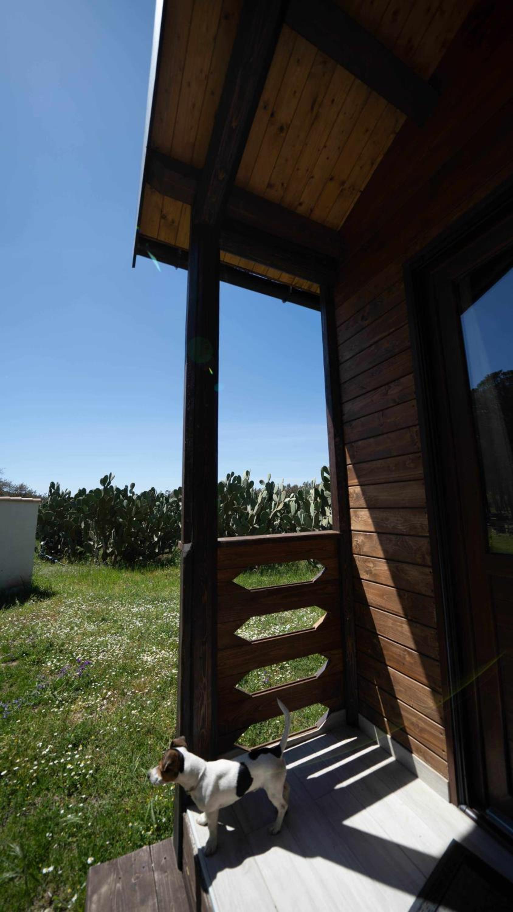 Suite with Pool View photo 3