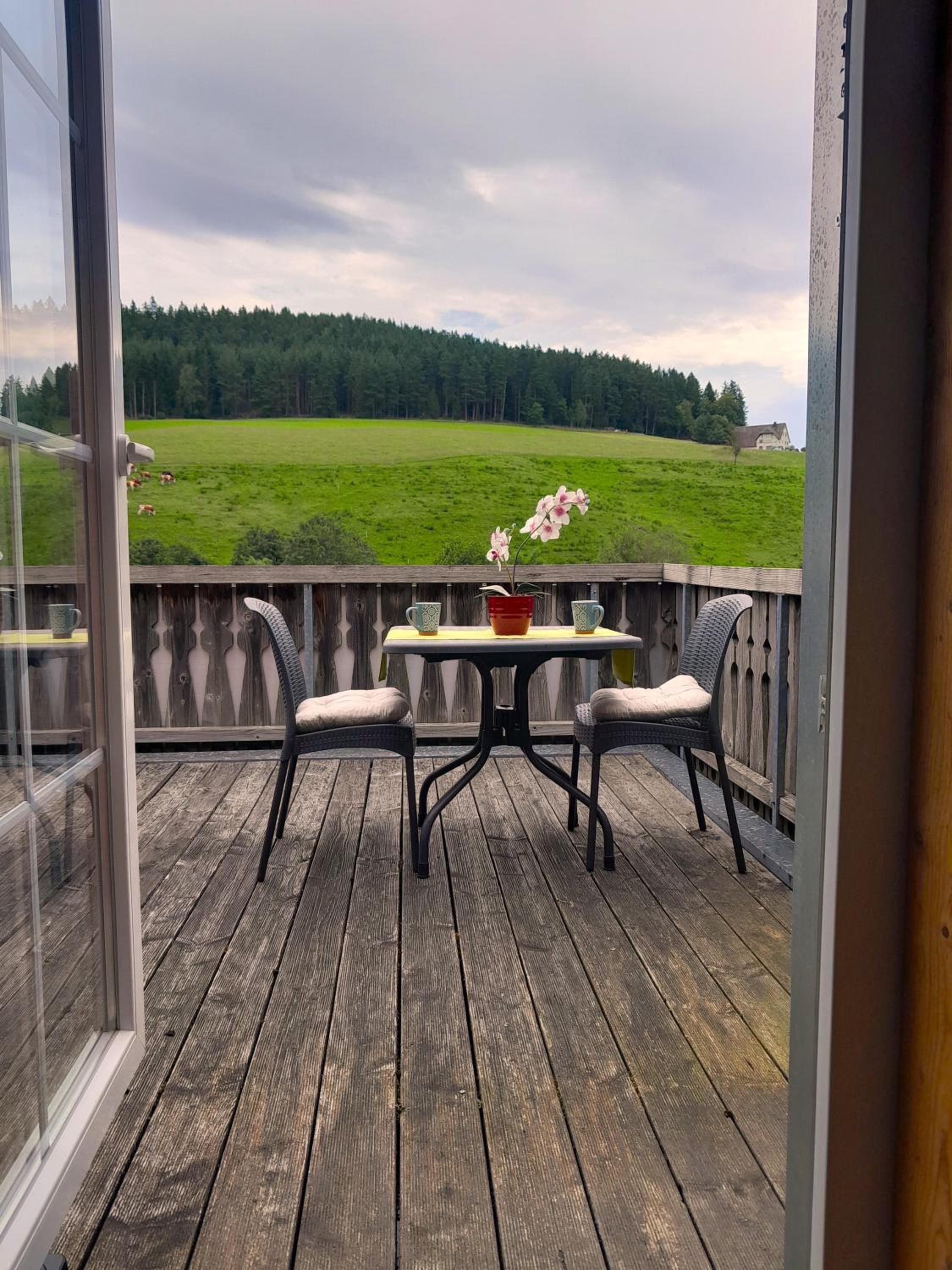 Double Room with Mountain View photo 2