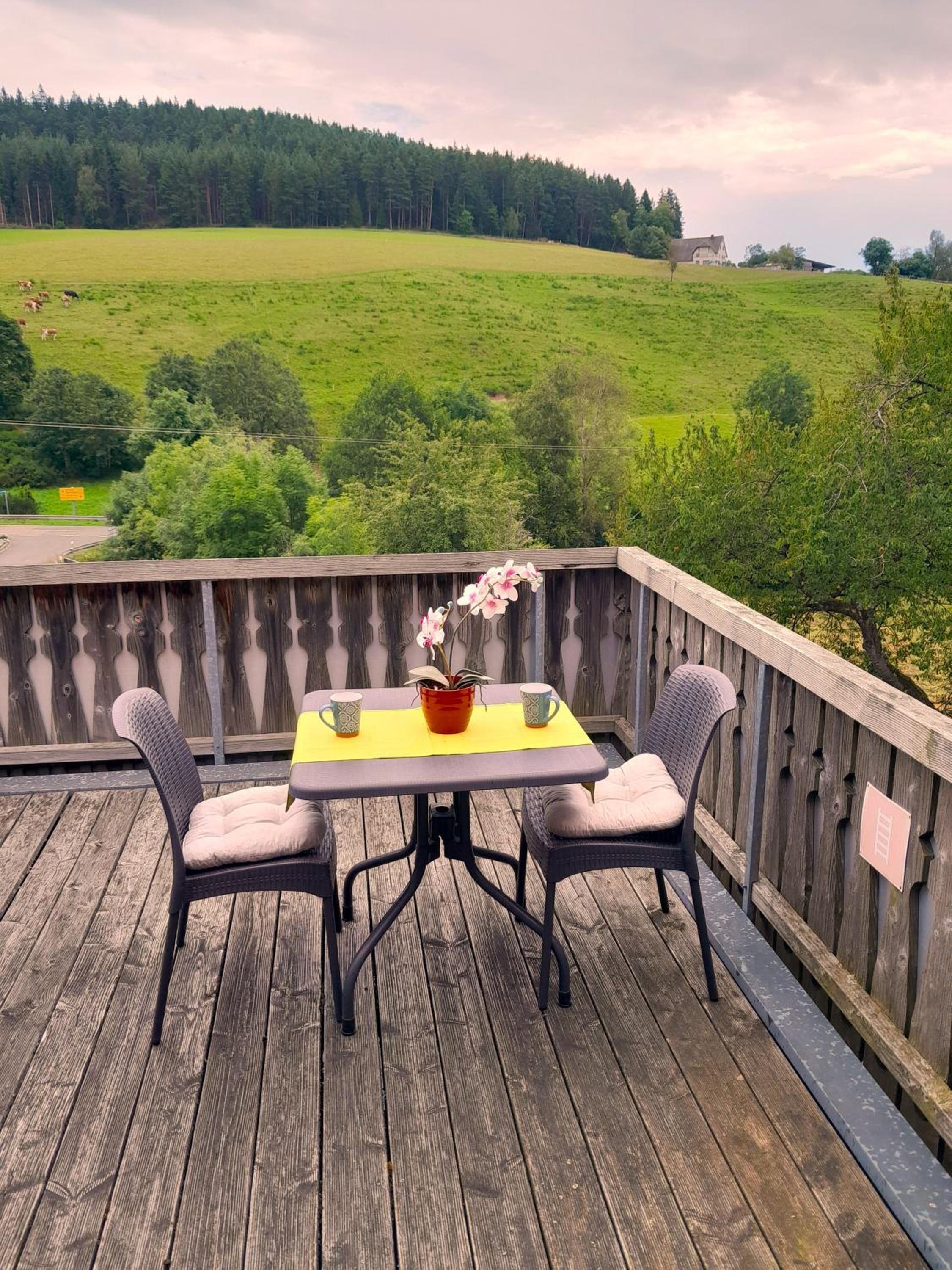 Double Room with Mountain View photo 3