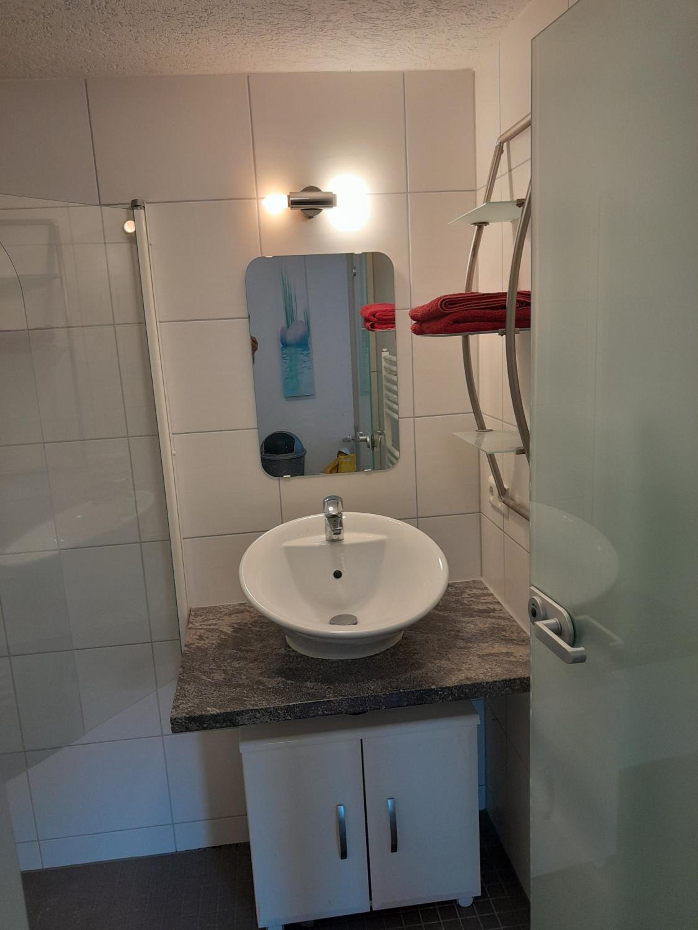 Superior One-Bedroom Apartment with Balcony photo 3