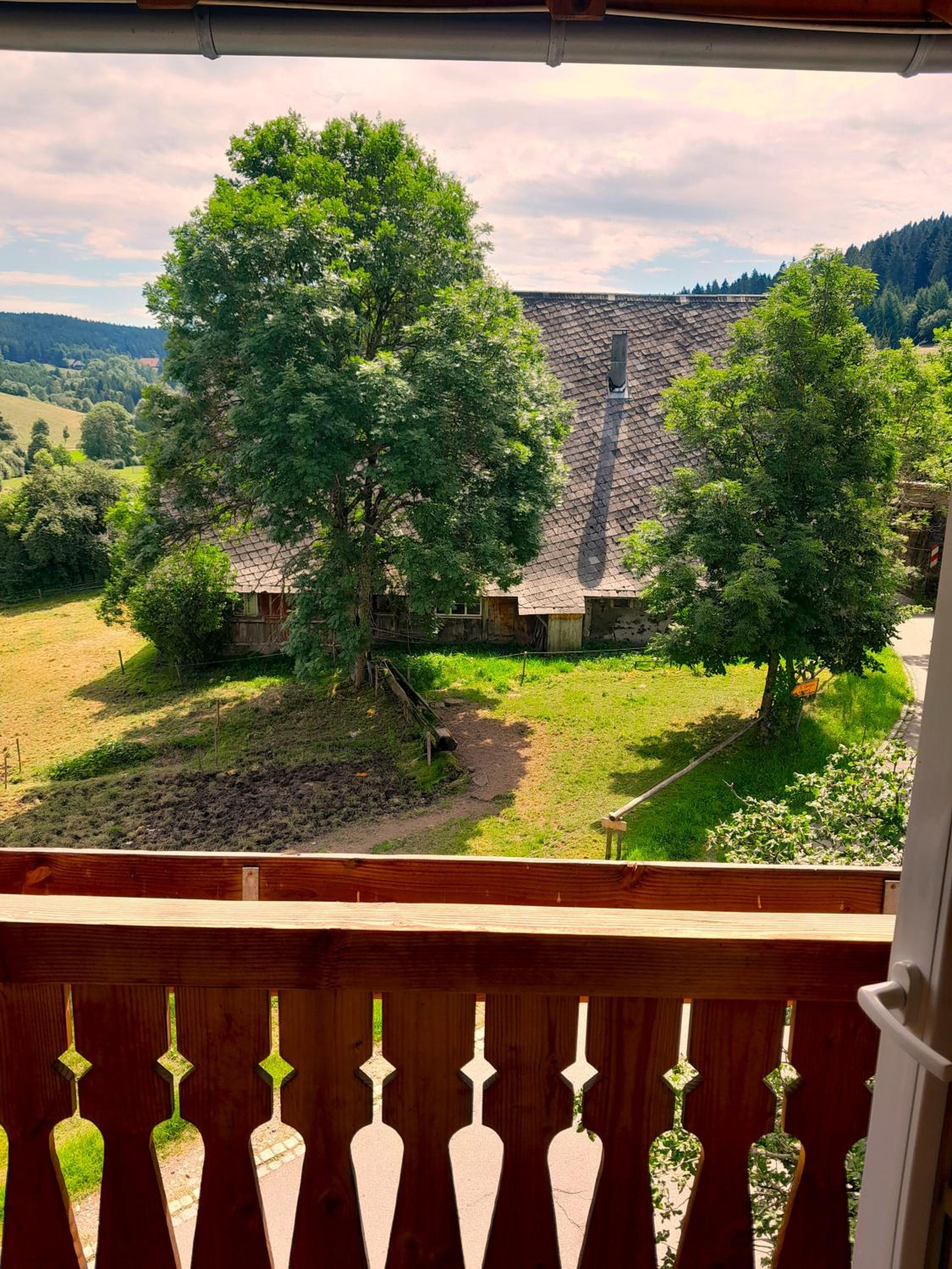 Double Room with Mountain View photo 3