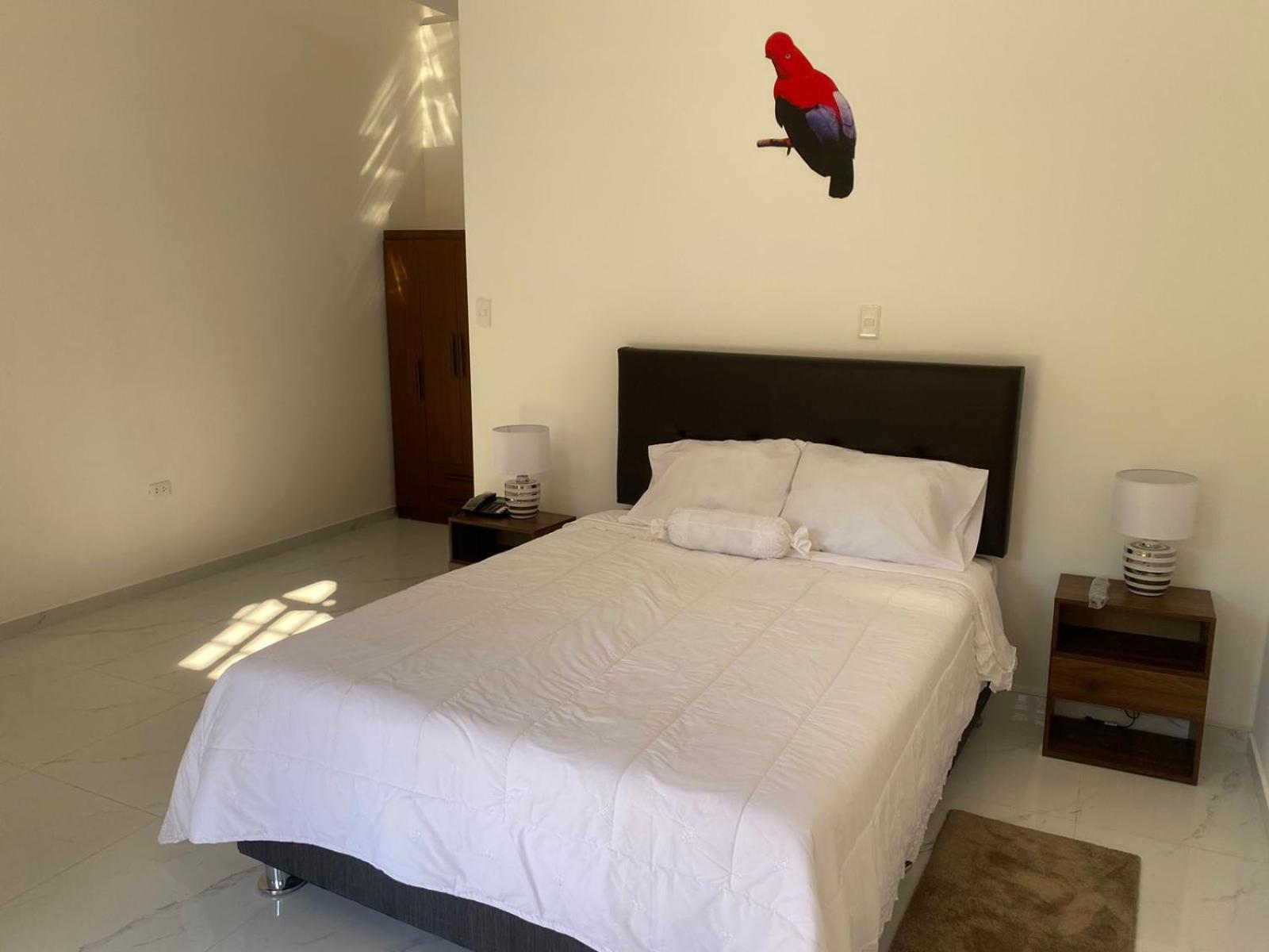 Standard Double Room photo 2