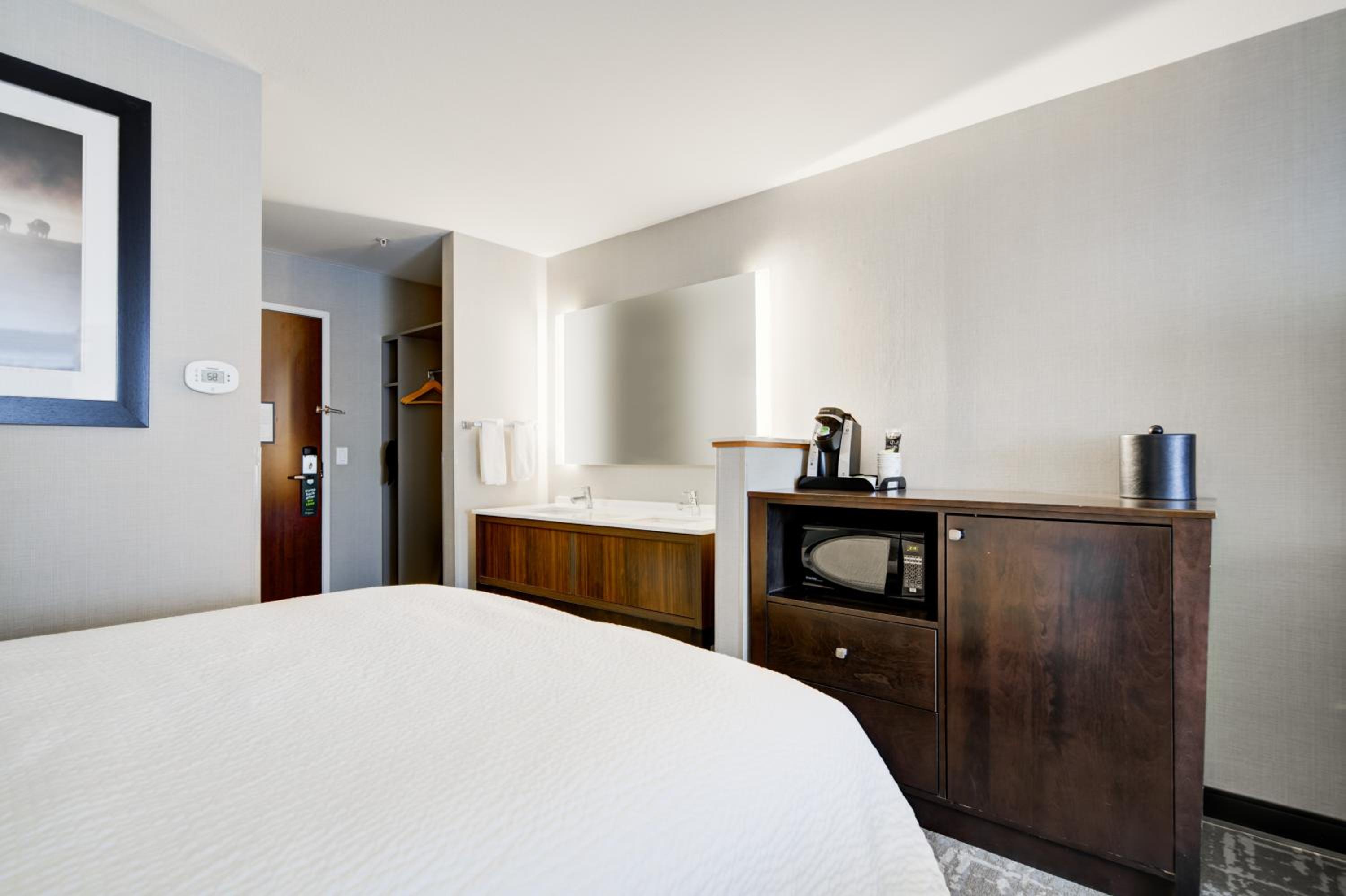One-Bedroom Suite - Photo 11
