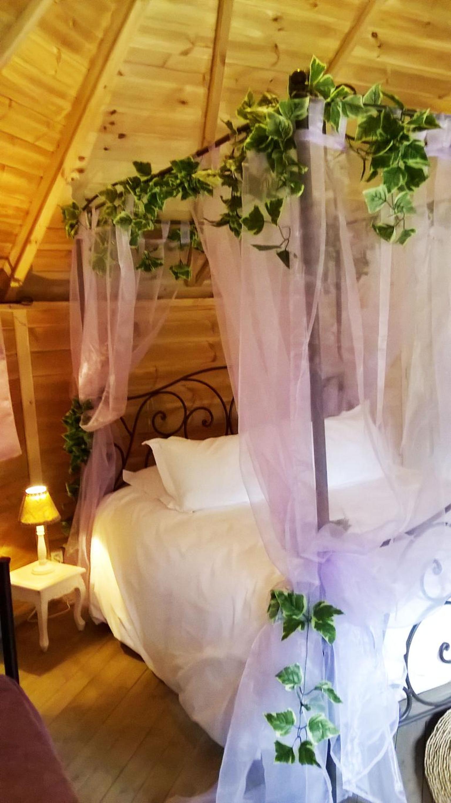 One-Bedroom Lodge - Photo 1