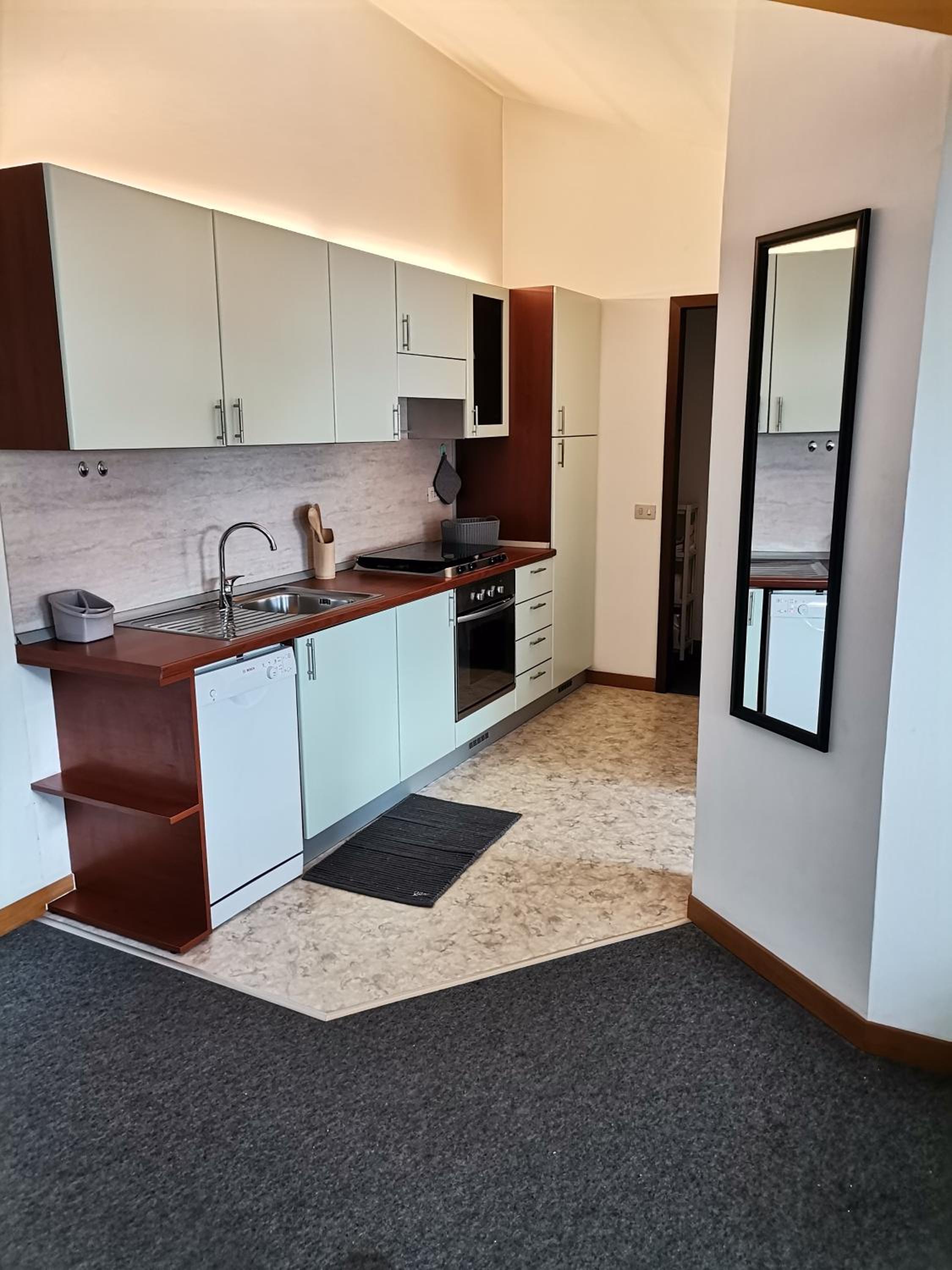 One-Bedroom Apartment photo 3