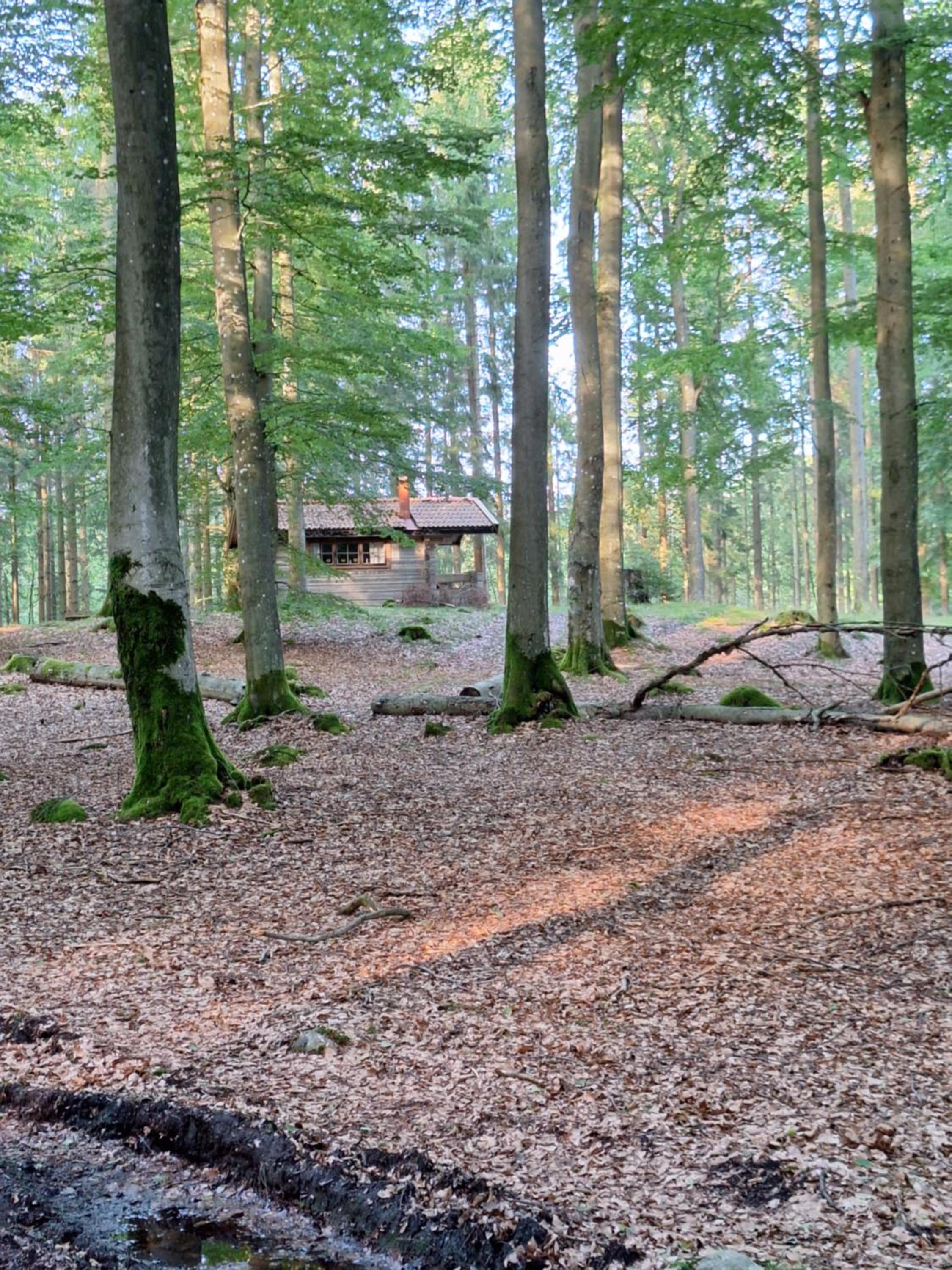 Vacation Home photo 3