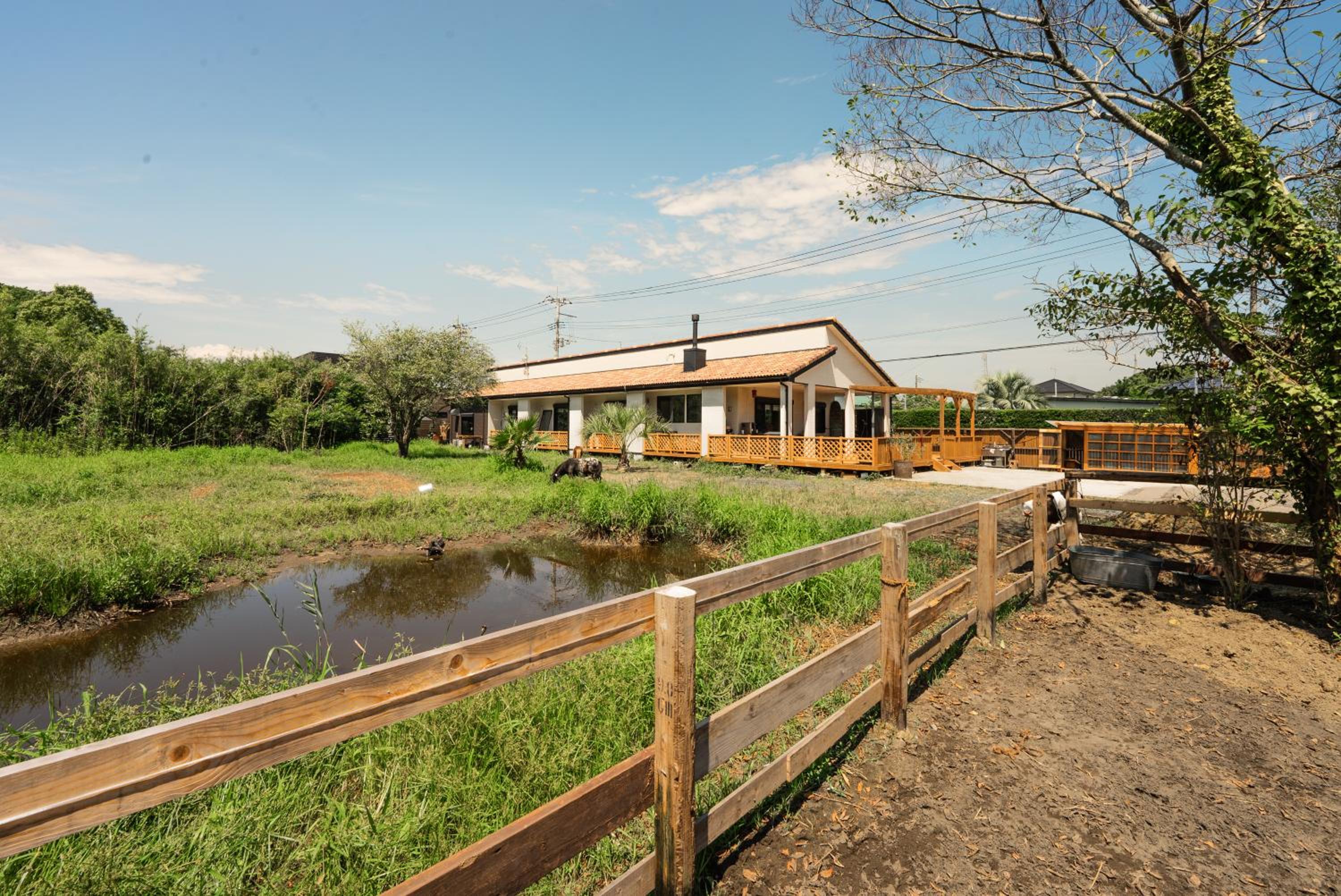 Villa photo 3
