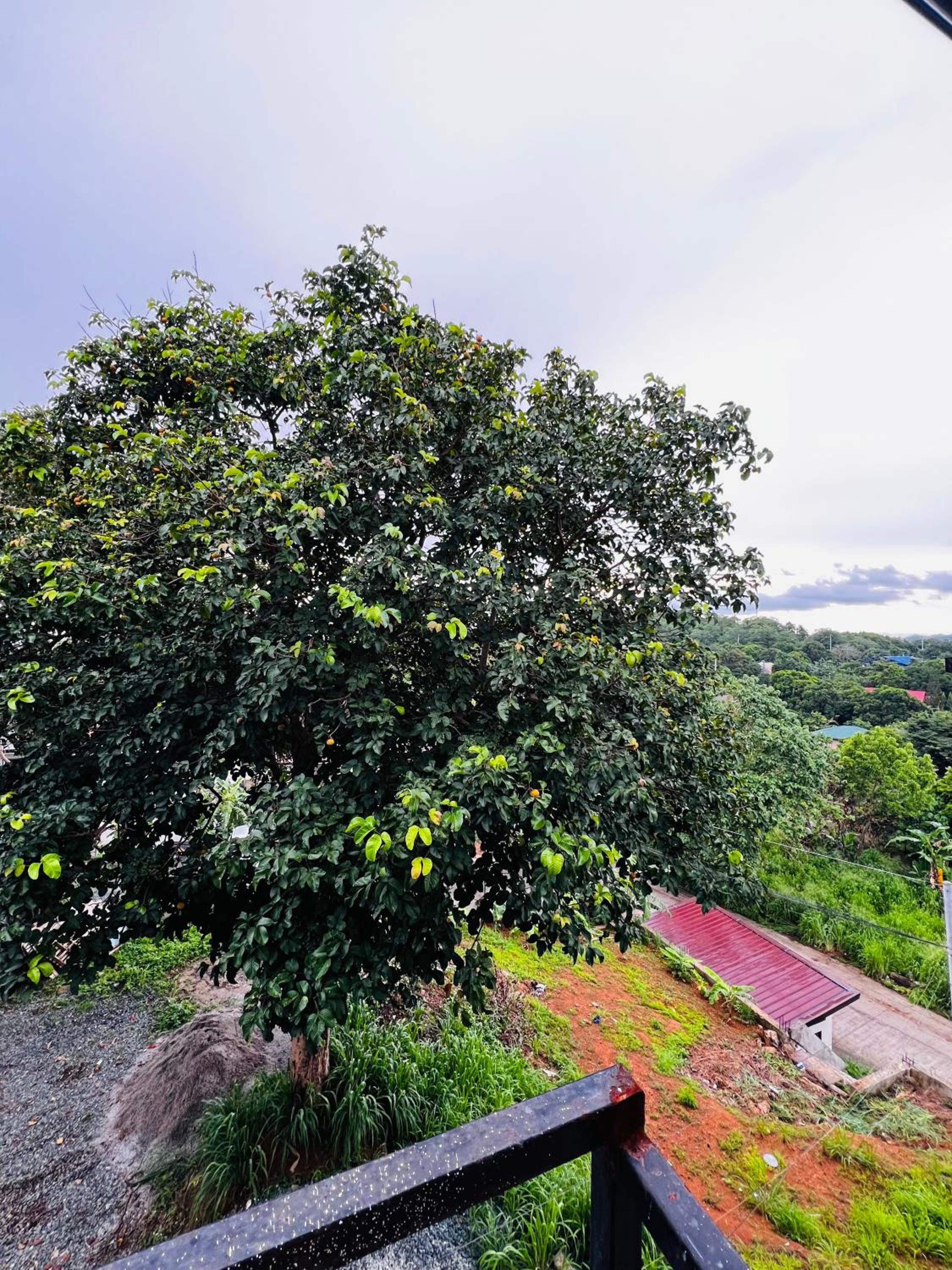 Family Two-Bedroom Apartment With View photo 3