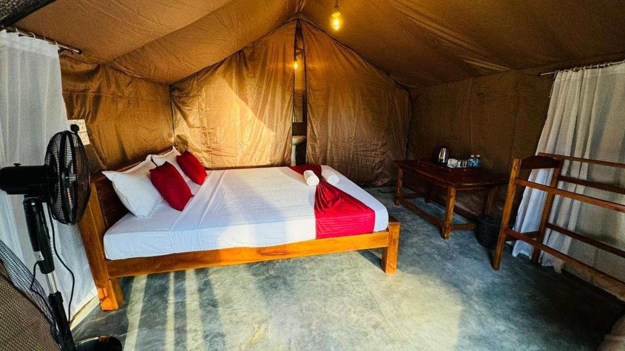 Tent photo 3