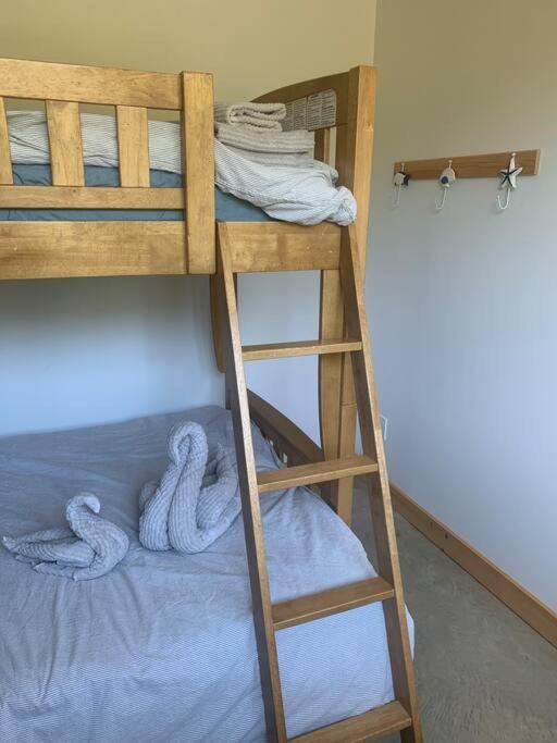 Family Suite photo 3