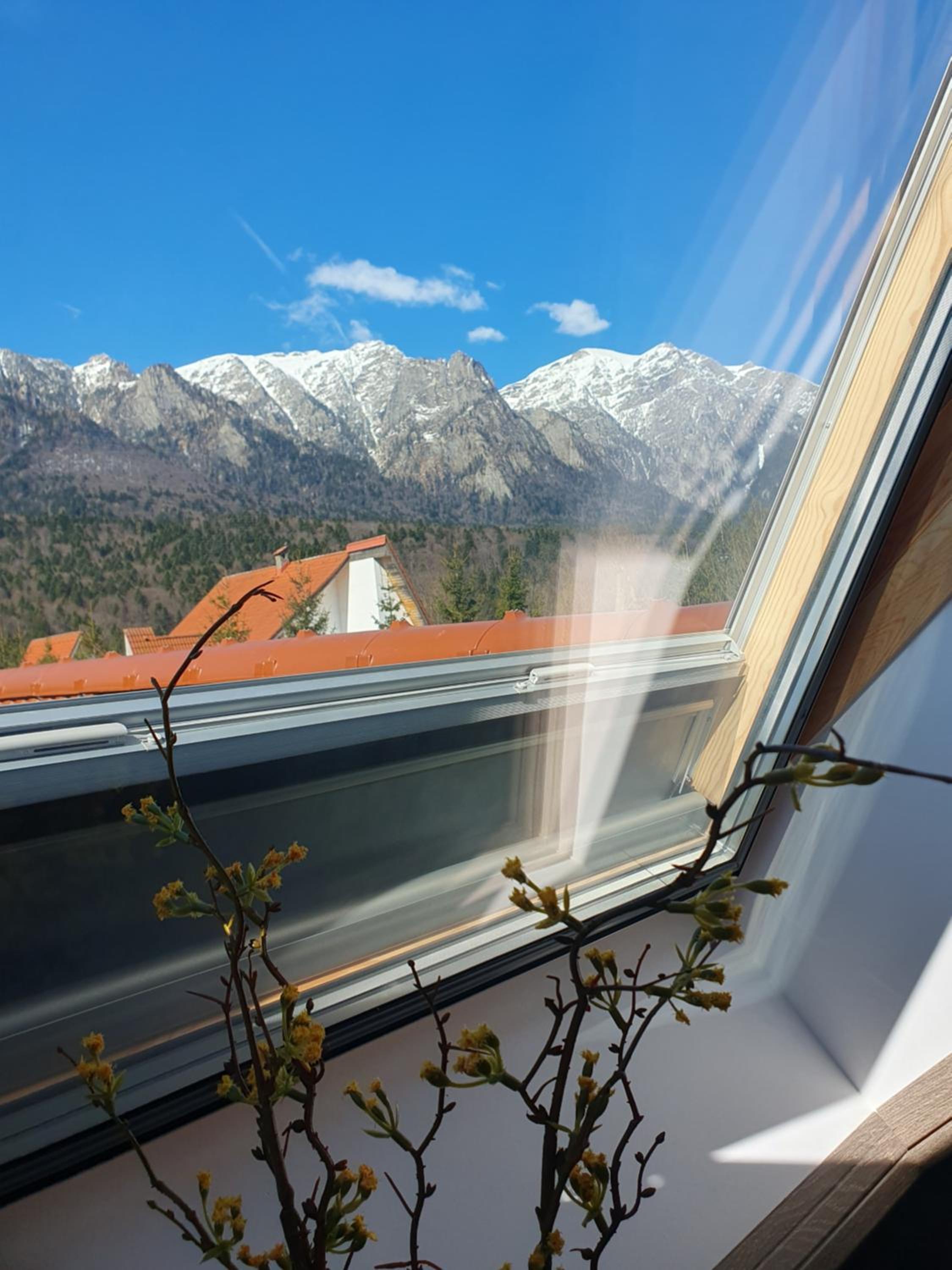 Studio with Mountain View photo 2